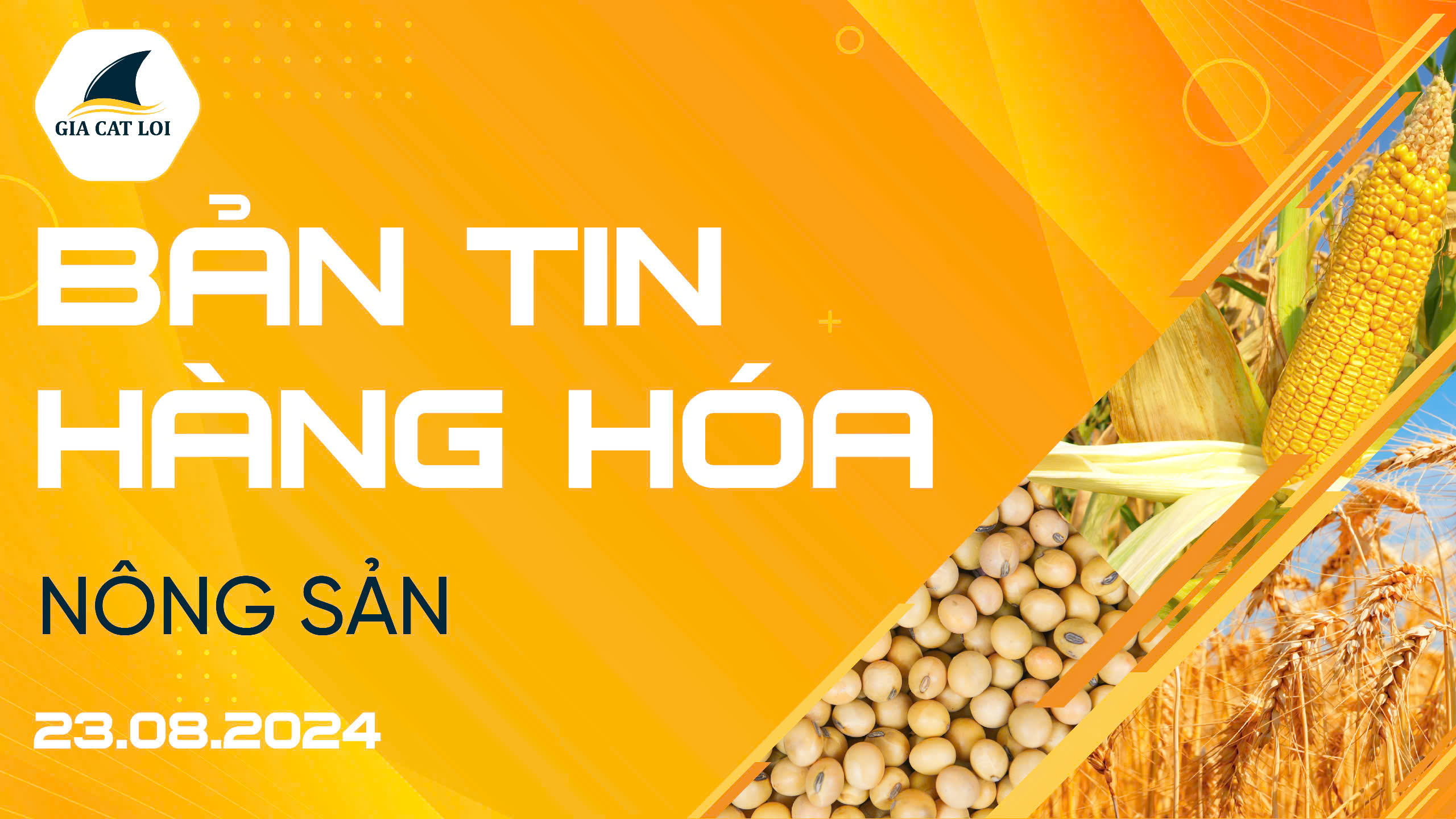 Bản Tin Nhóm Nông Sản Ngày 23/08/2024