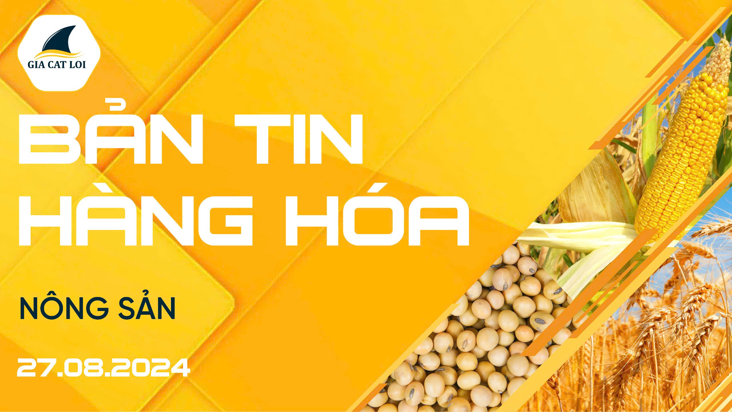 Bản Tin Nhóm Nông Sản Ngày 27/08/2024