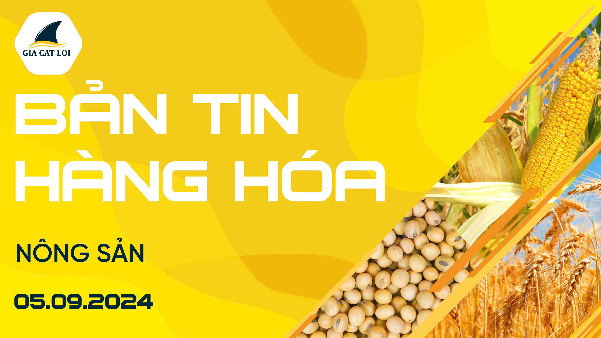 Bản Tin Nhóm Nông Sản Ngày 05/09/2024