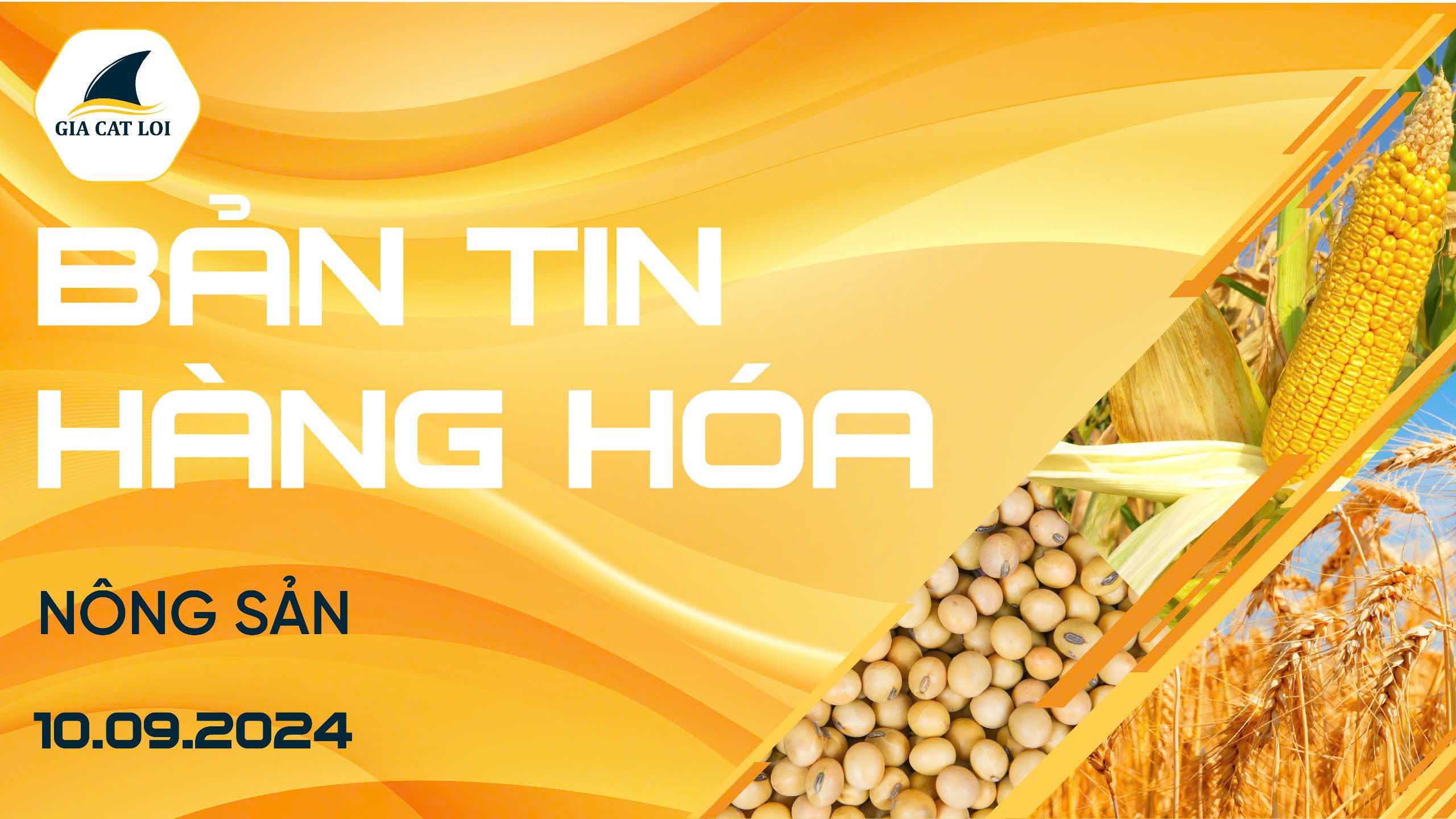 Bản Tin Nhóm Nông Sản Ngày 10/09/2024