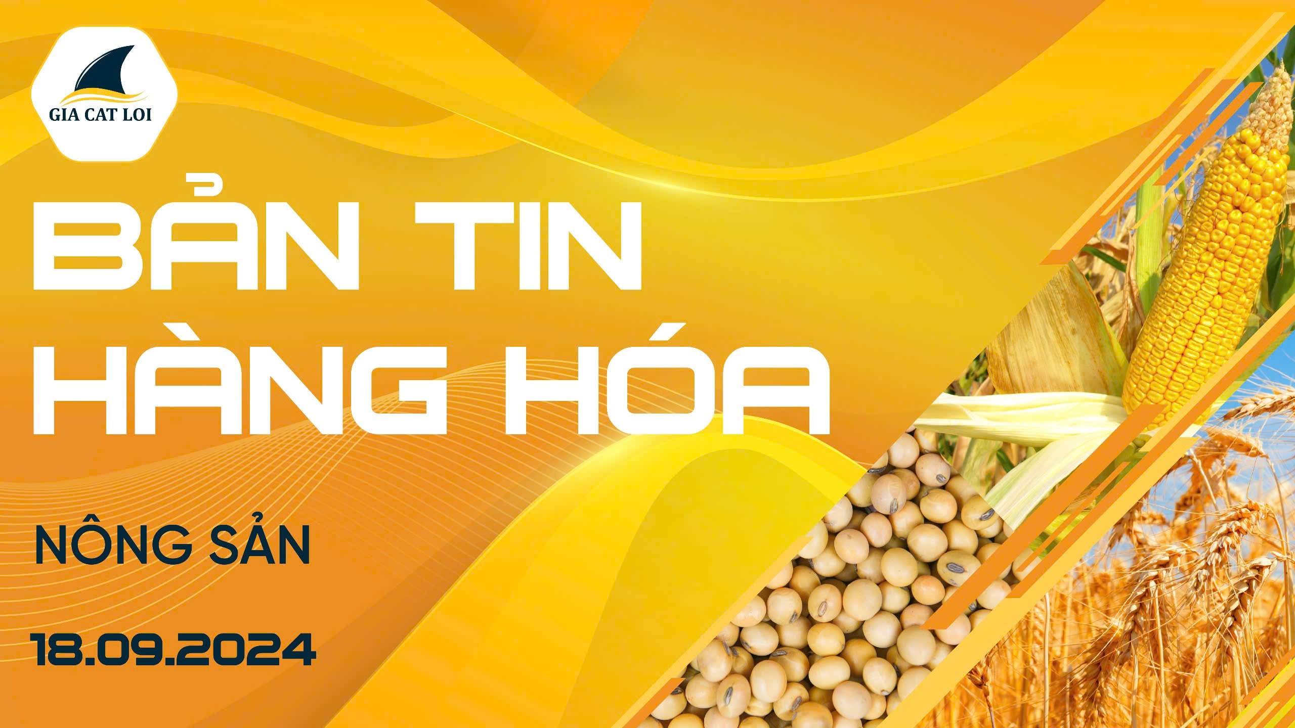 Bản Tin Nhóm Nông Sản Ngày 18/09/2024