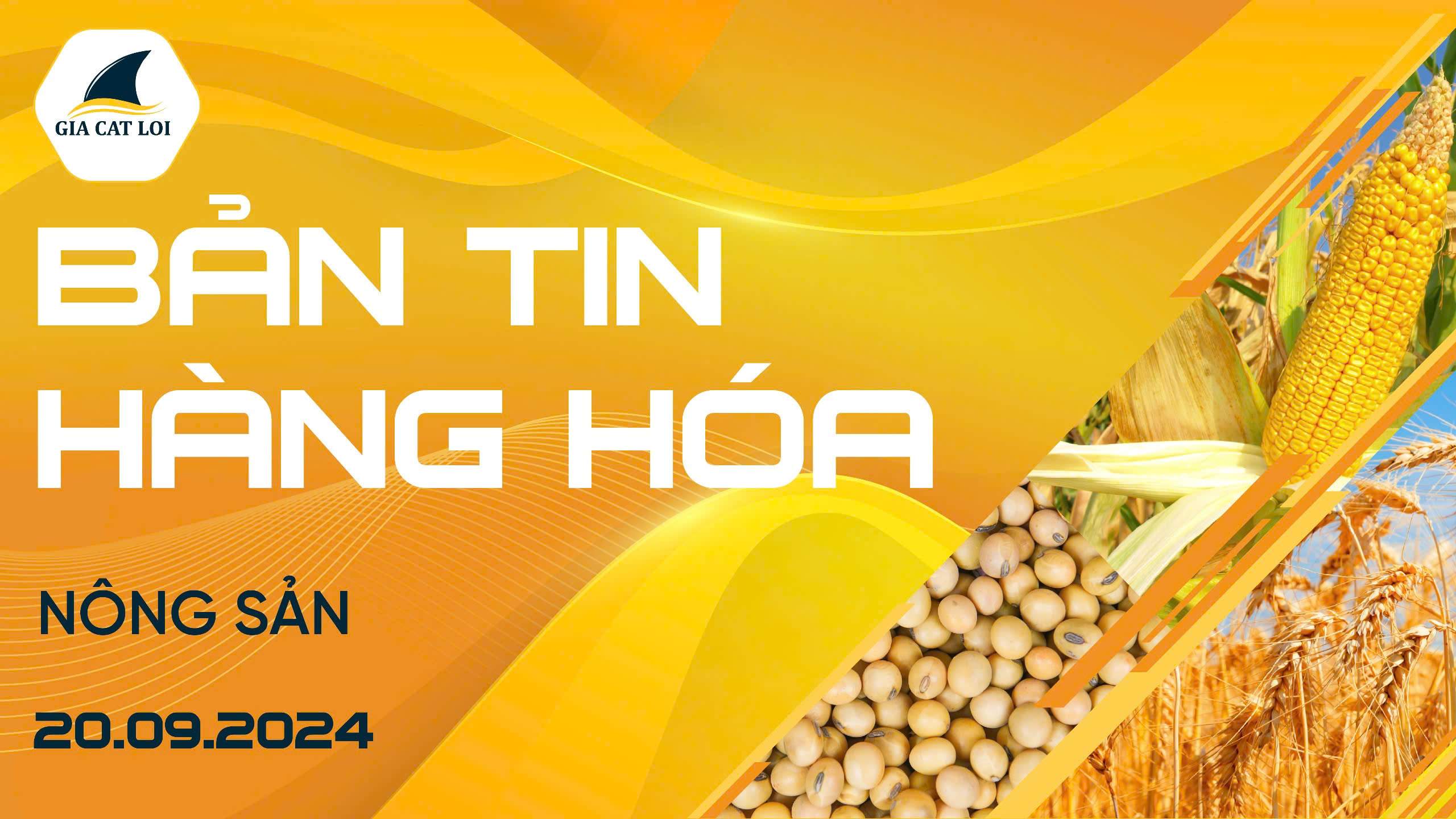 Bản Tin Nhóm Nông Sản Ngày 20/09/2024