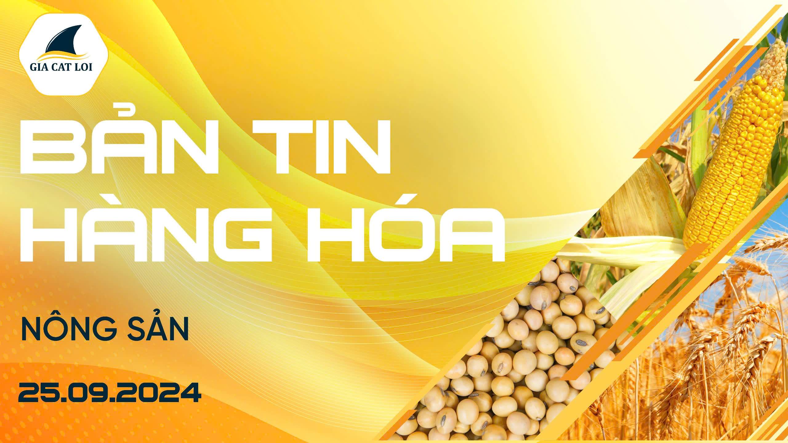 Bản Tin Nhóm Nông Sản Ngày 25/09/2024