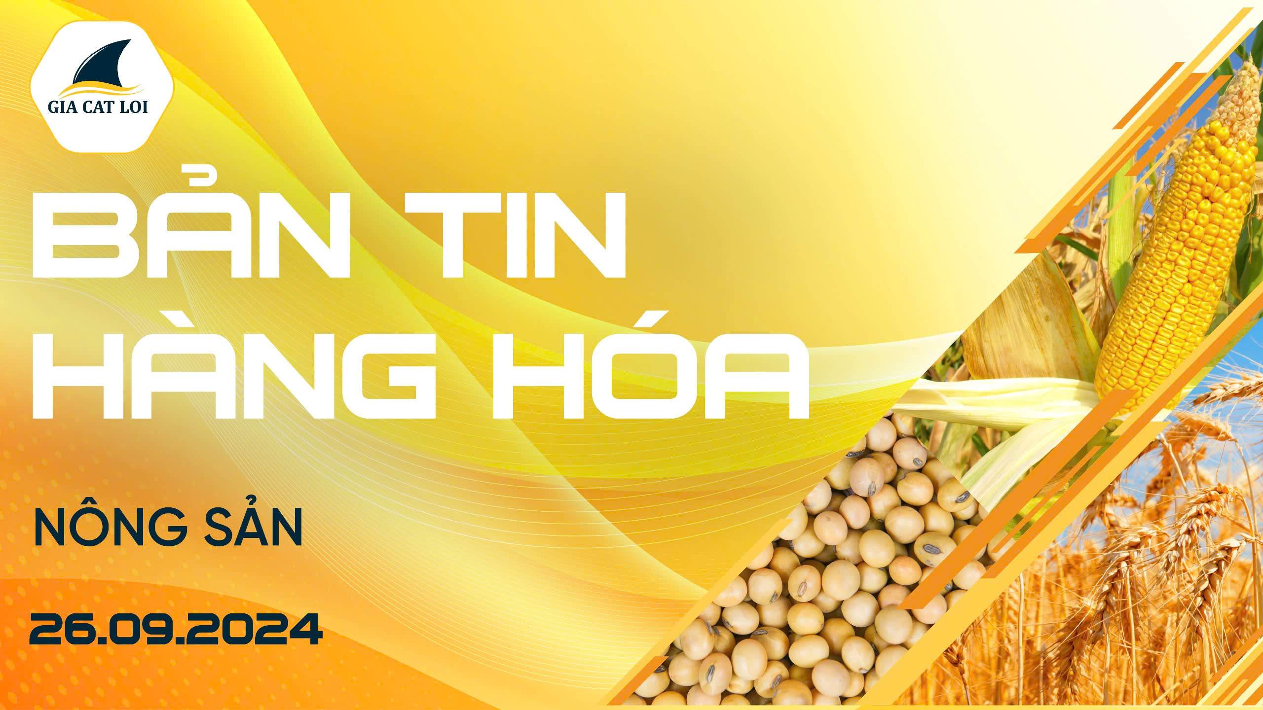Bản Tin Nhóm Nông Sản Ngày 26/09/2024
