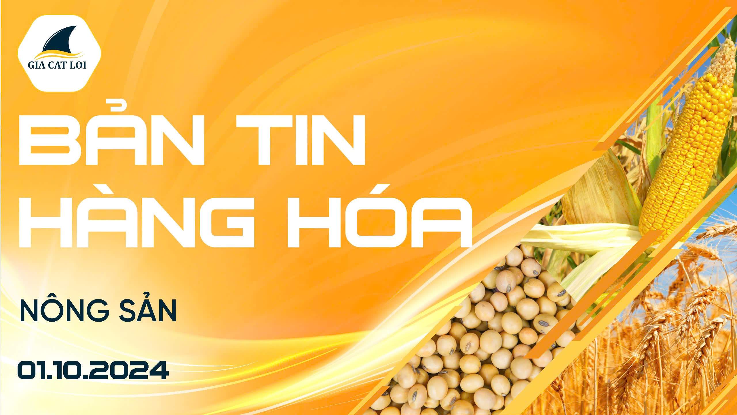 Bản Tin Nhóm Nông Sản Ngày 01/10/2024