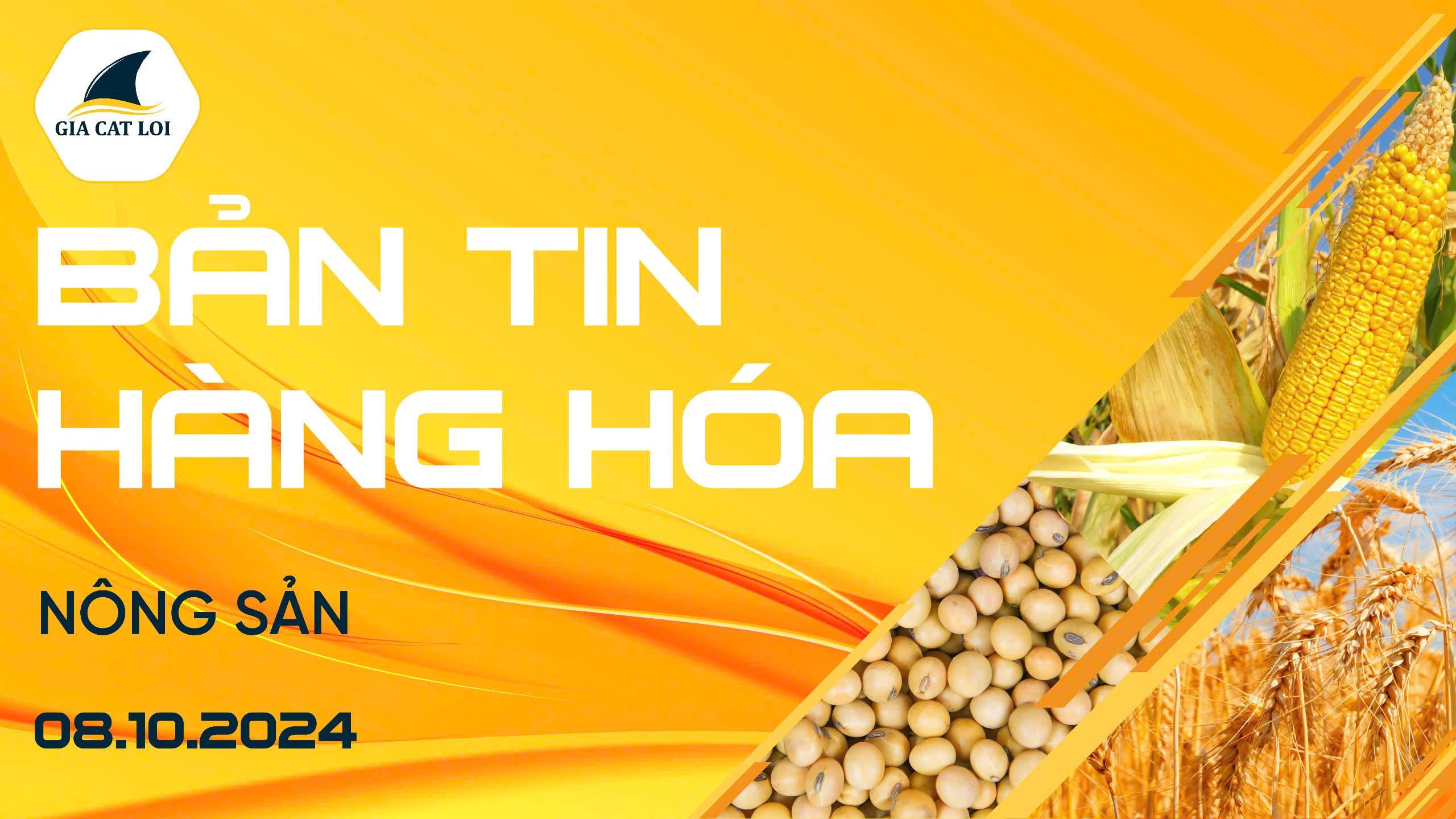 Bản Tin Nhóm Nông Sản Ngày 08/10/2024
