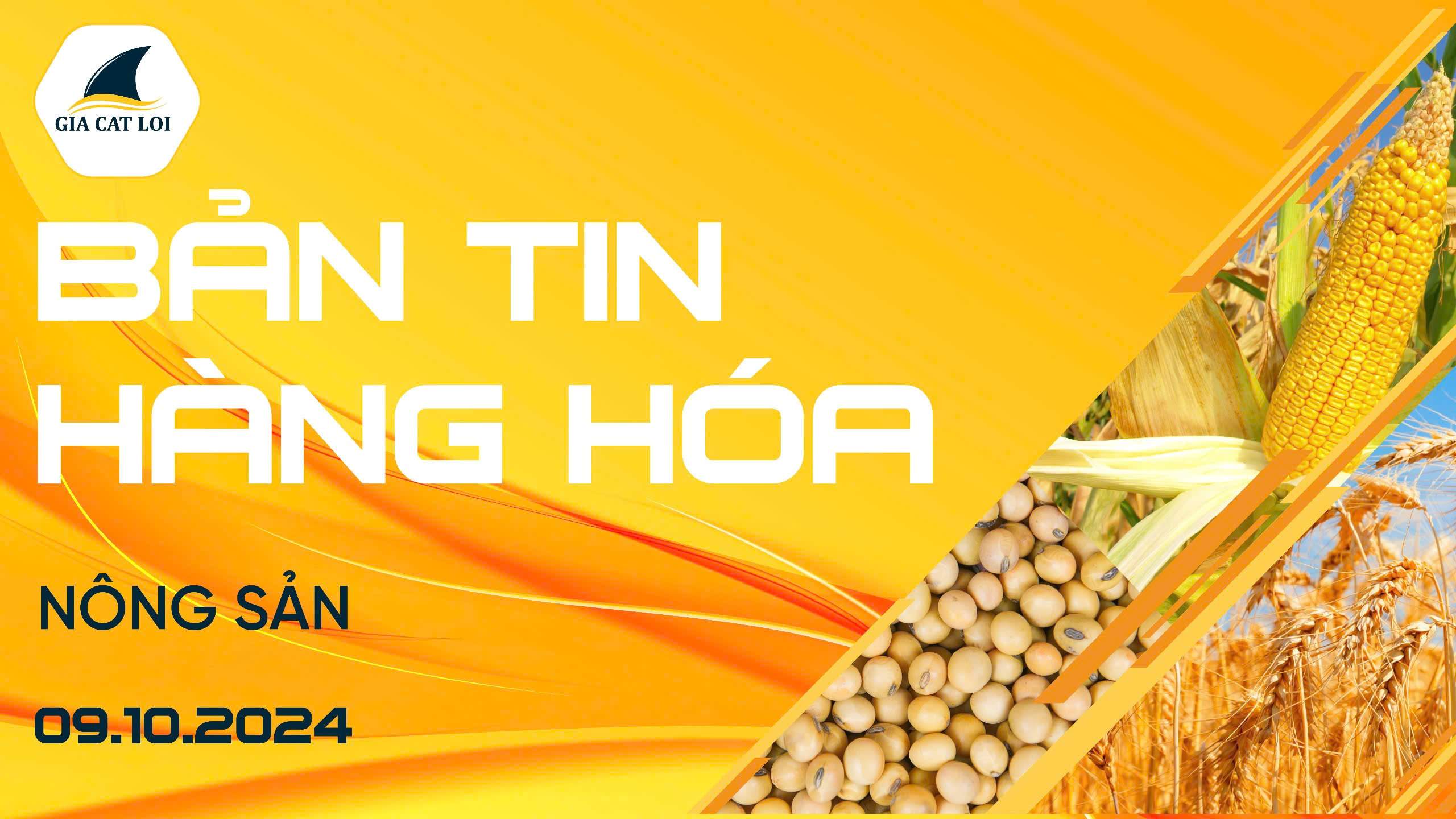 Bản Tin Nhóm Nông Sản Ngày 09/10/2024
