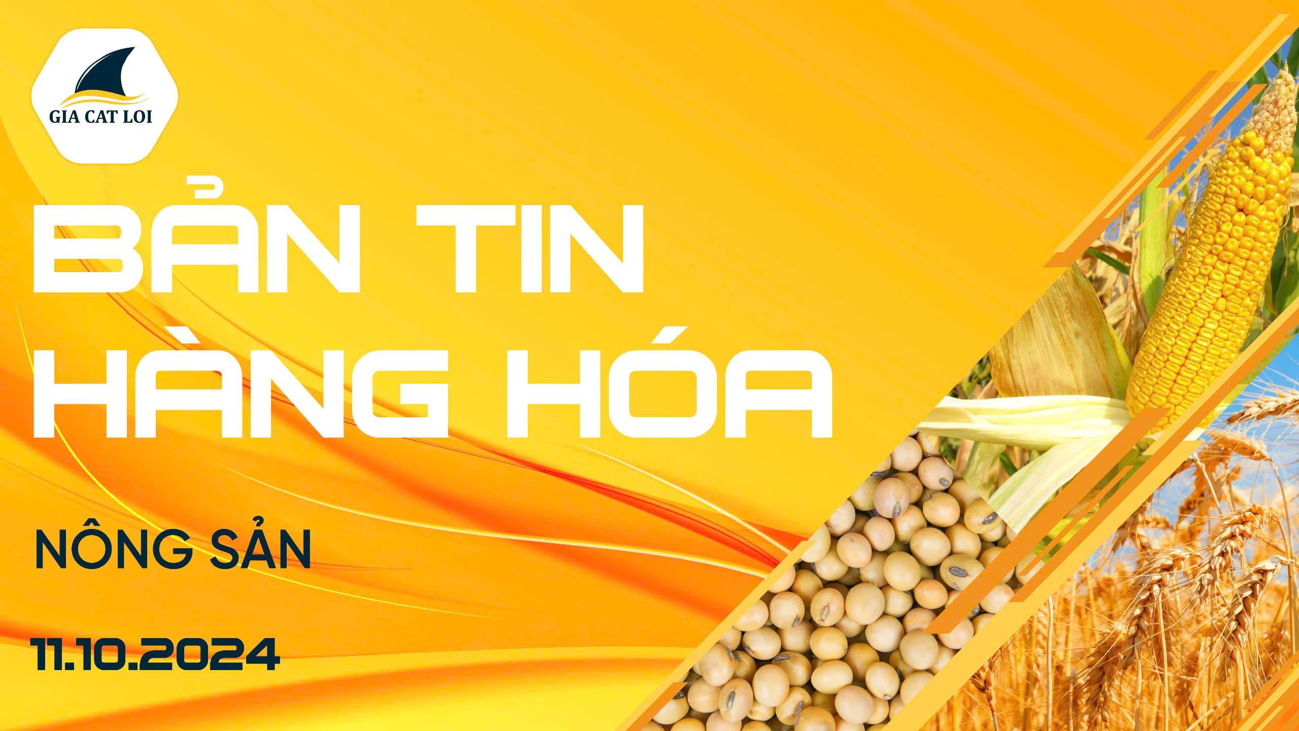 Bản Tin Nhóm Nông Sản Ngày 11/10/2024