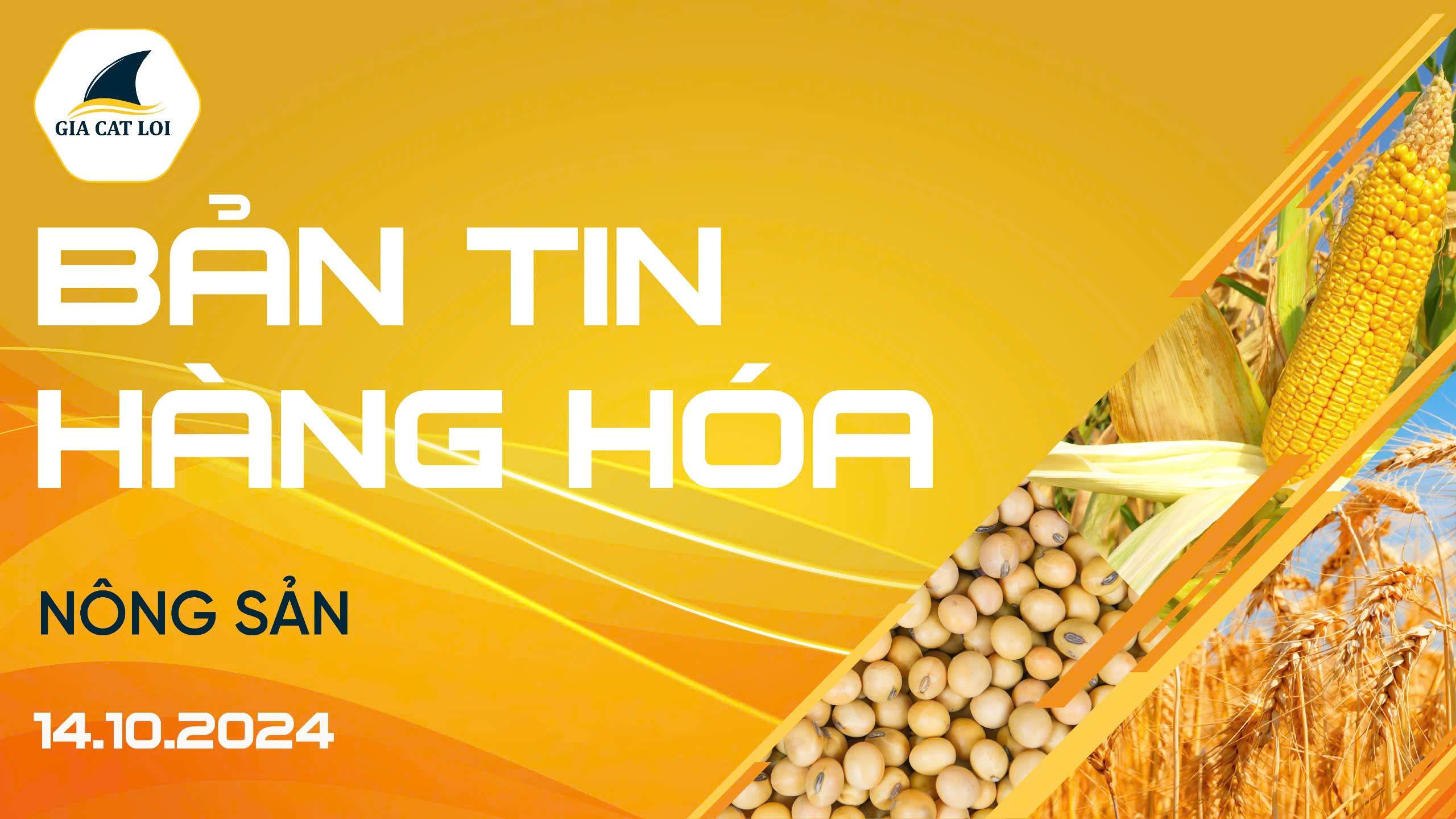 Bản Tin Nhóm Nông Sản Ngày 14/10/2024