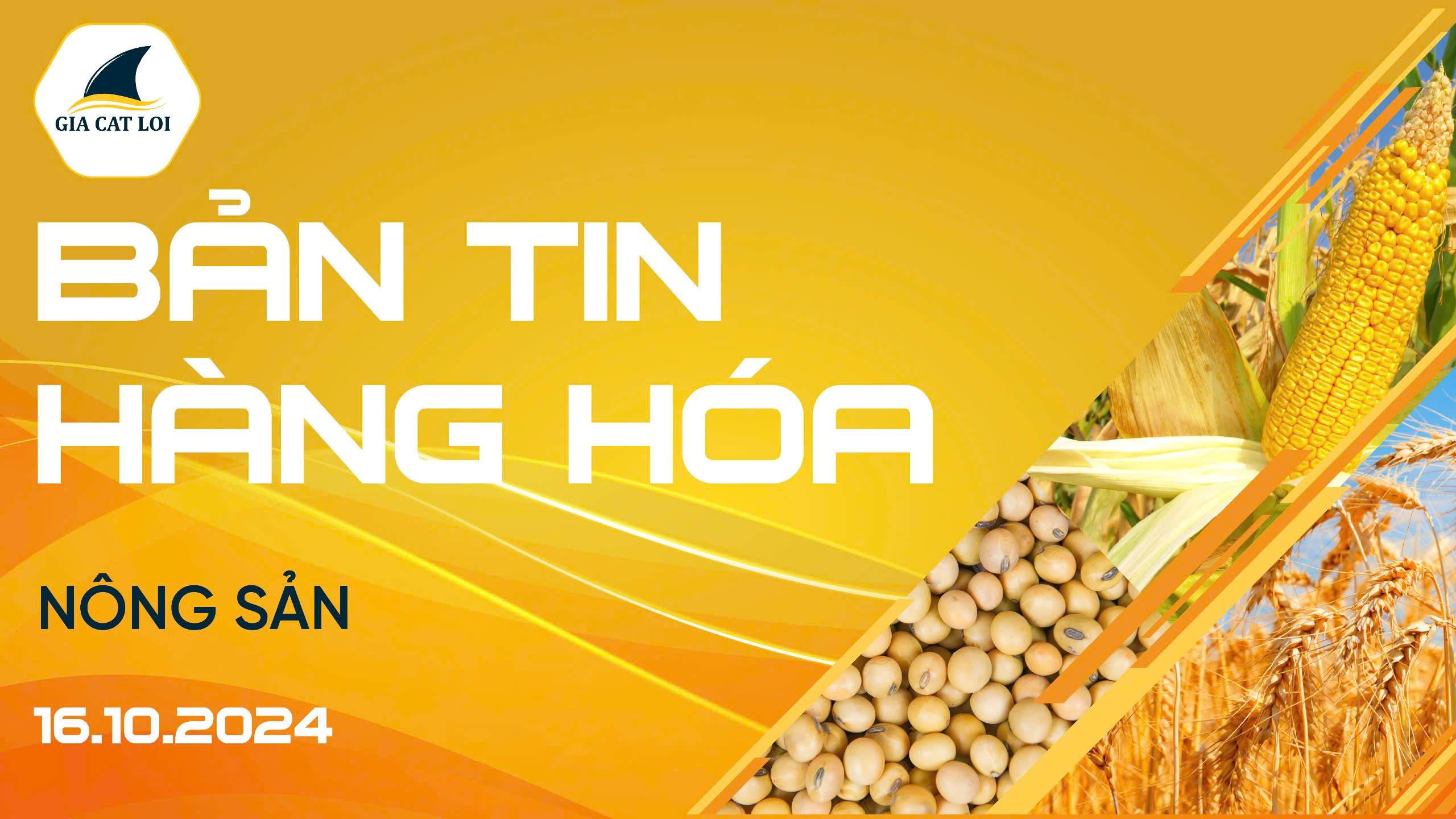 Bản Tin Nhóm Nông Sản Ngày 16/10/2024