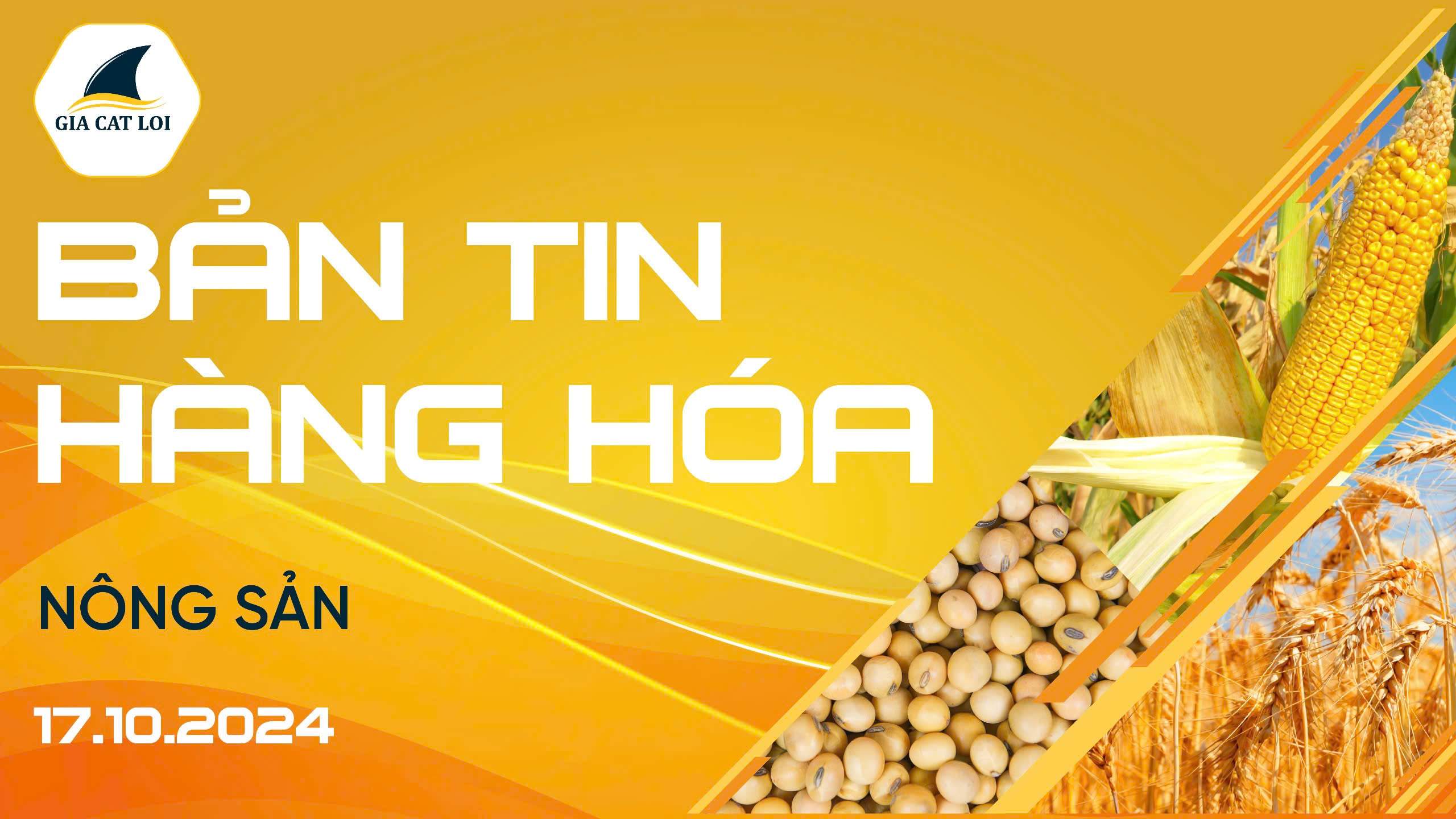 Bản Tin Nhóm Nông Sản Ngày 17/10/2024