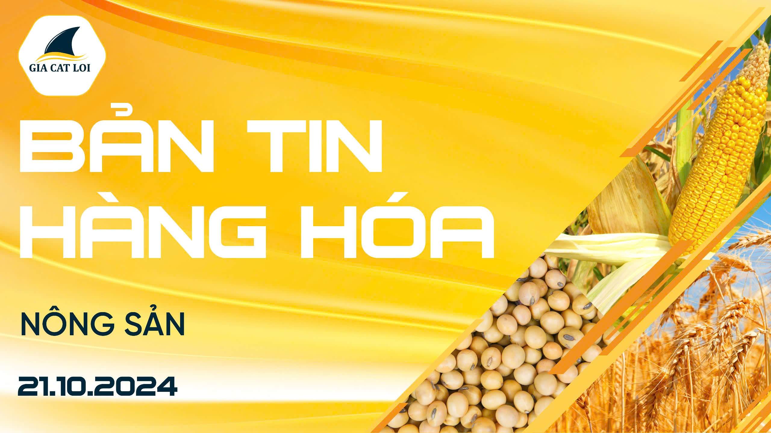 Bản Tin Nhóm Nông Sản Ngày 21/10/2024