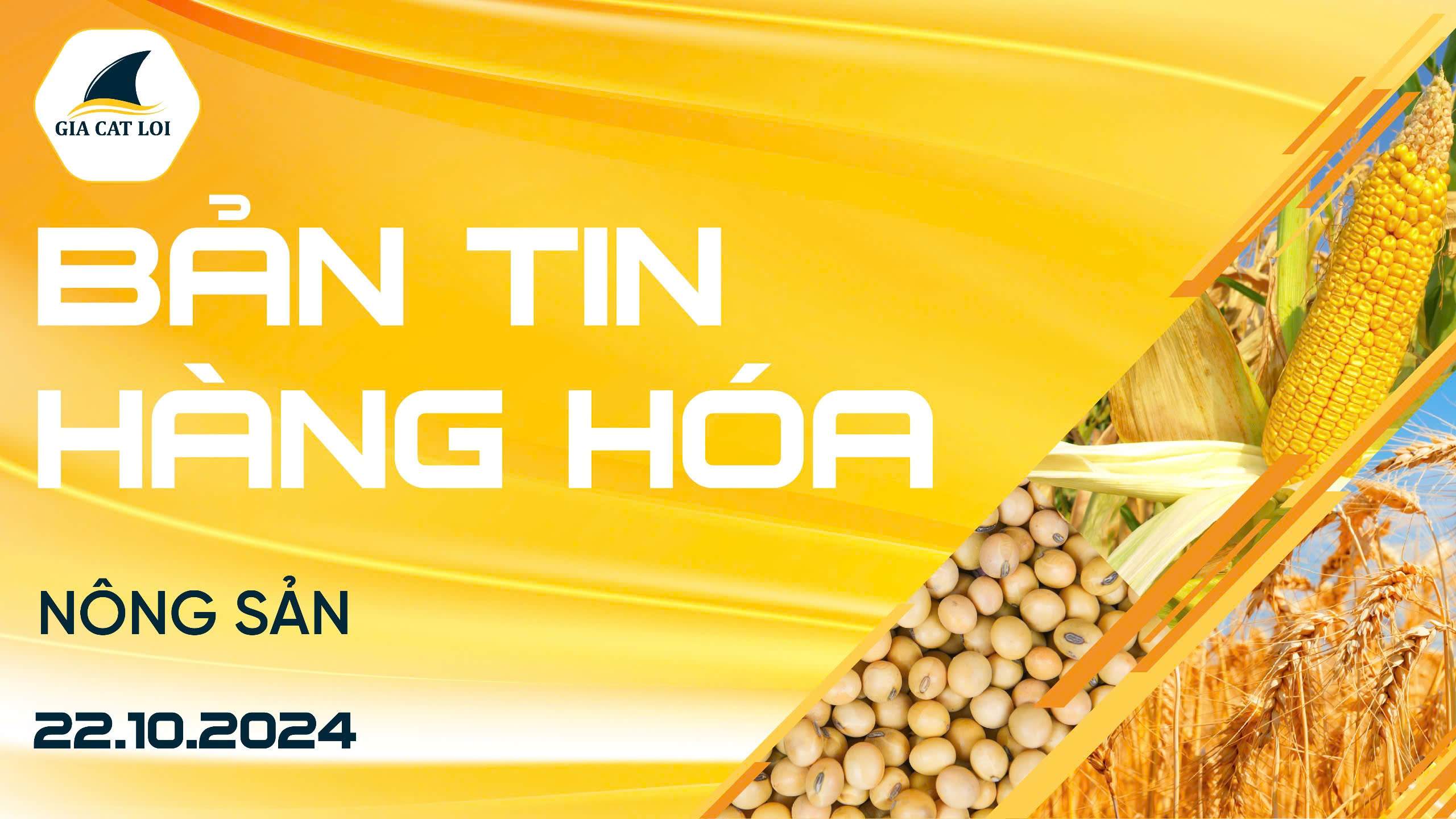 Bản Tin Nhóm Nông Sản Ngày 22/10/2024