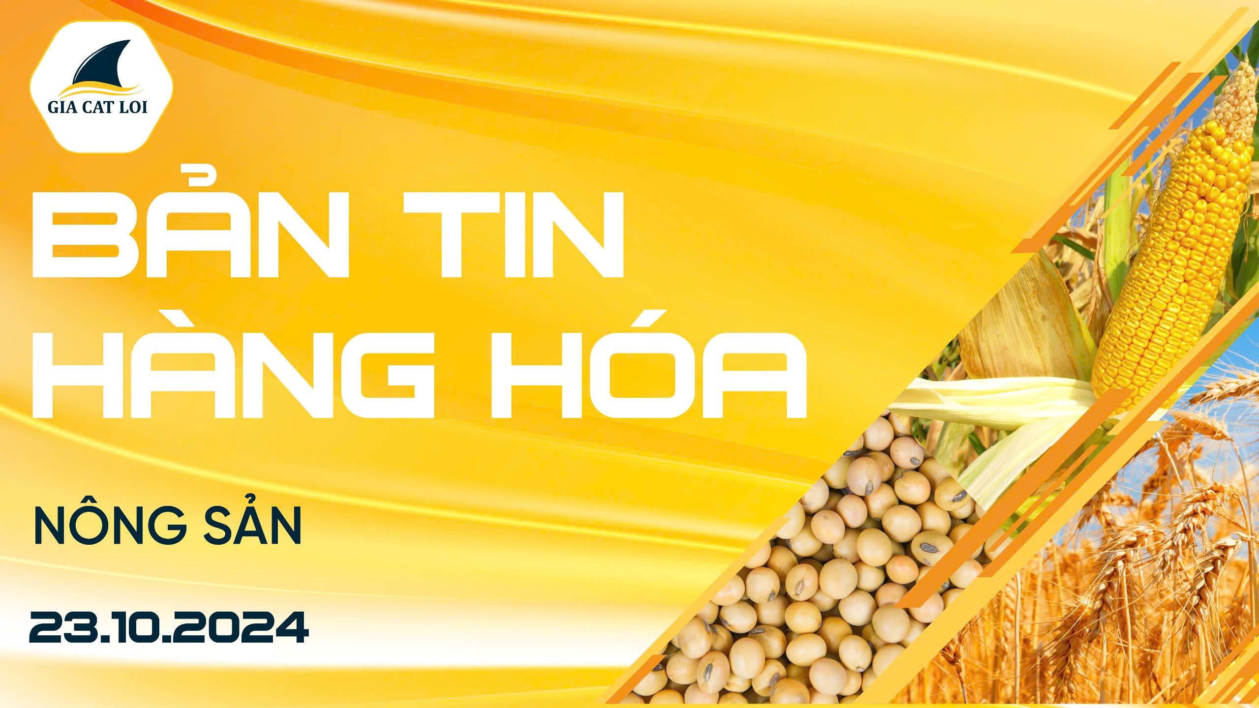 Bản Tin Nhóm Nông Sản Ngày 23/10/2024