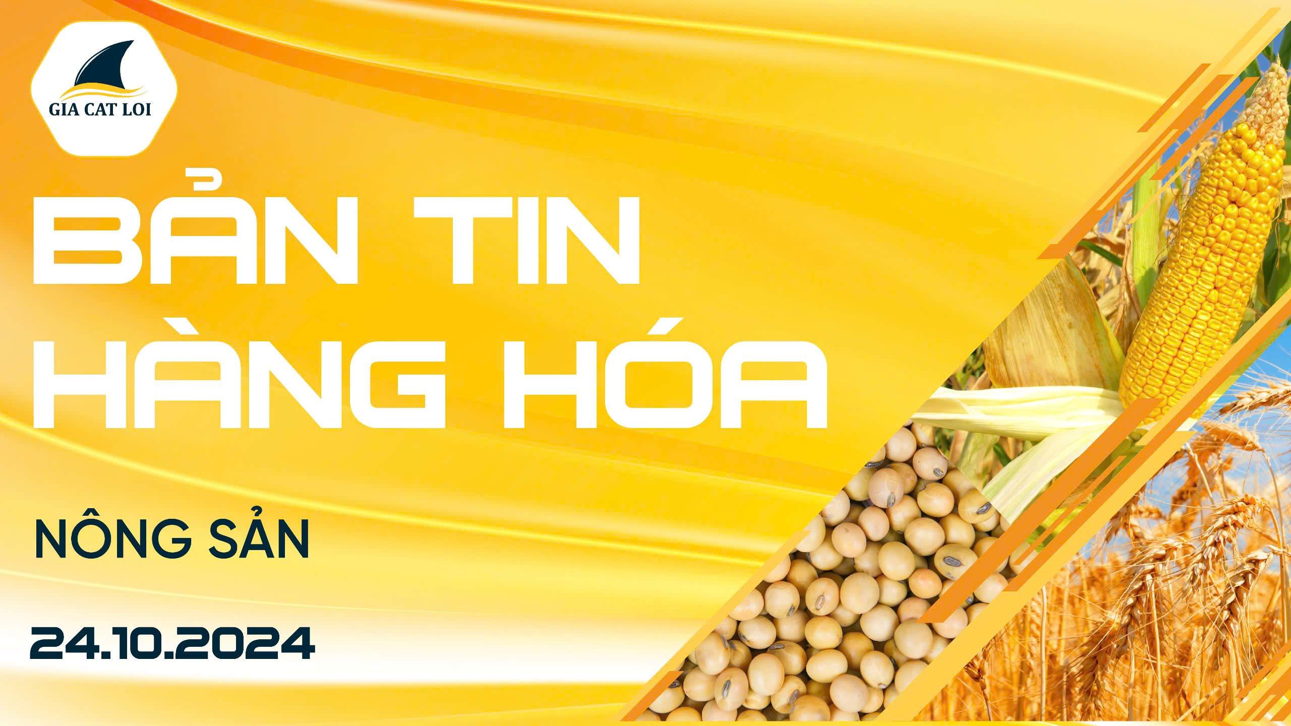 Bản Tin Nhóm Nông Sản Ngày 24/10/2024