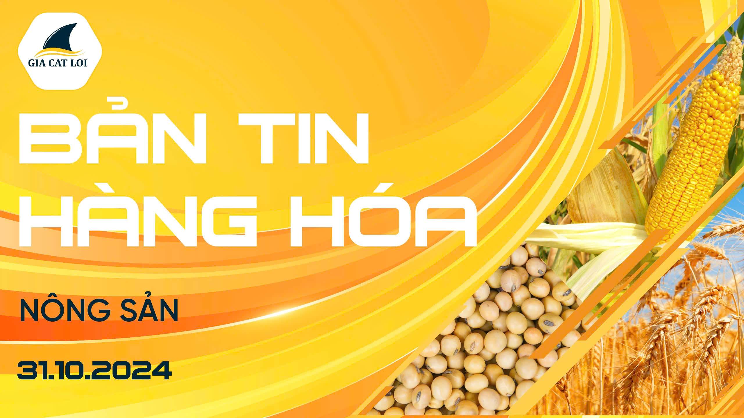 Bản Tin Nhóm Nông Sản Ngày 31/10/2024