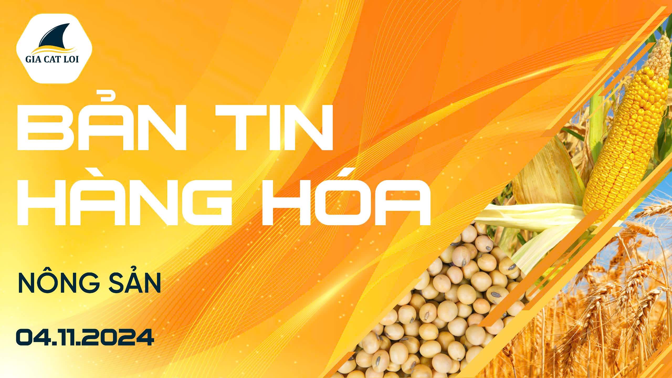 Bản Tin Nhóm Nông Sản Ngày 04/11/2024