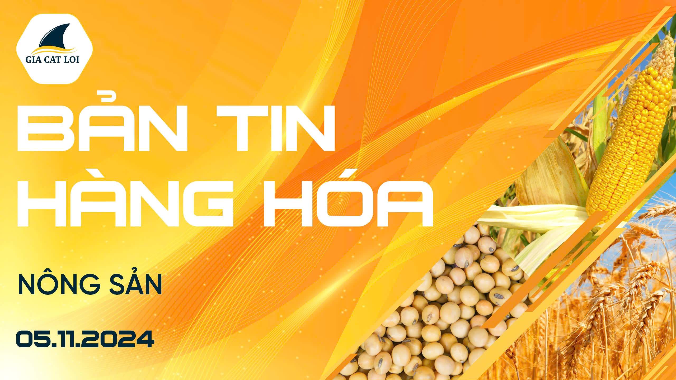 Bản Tin Nhóm Nông Sản Ngày 05/11/2024