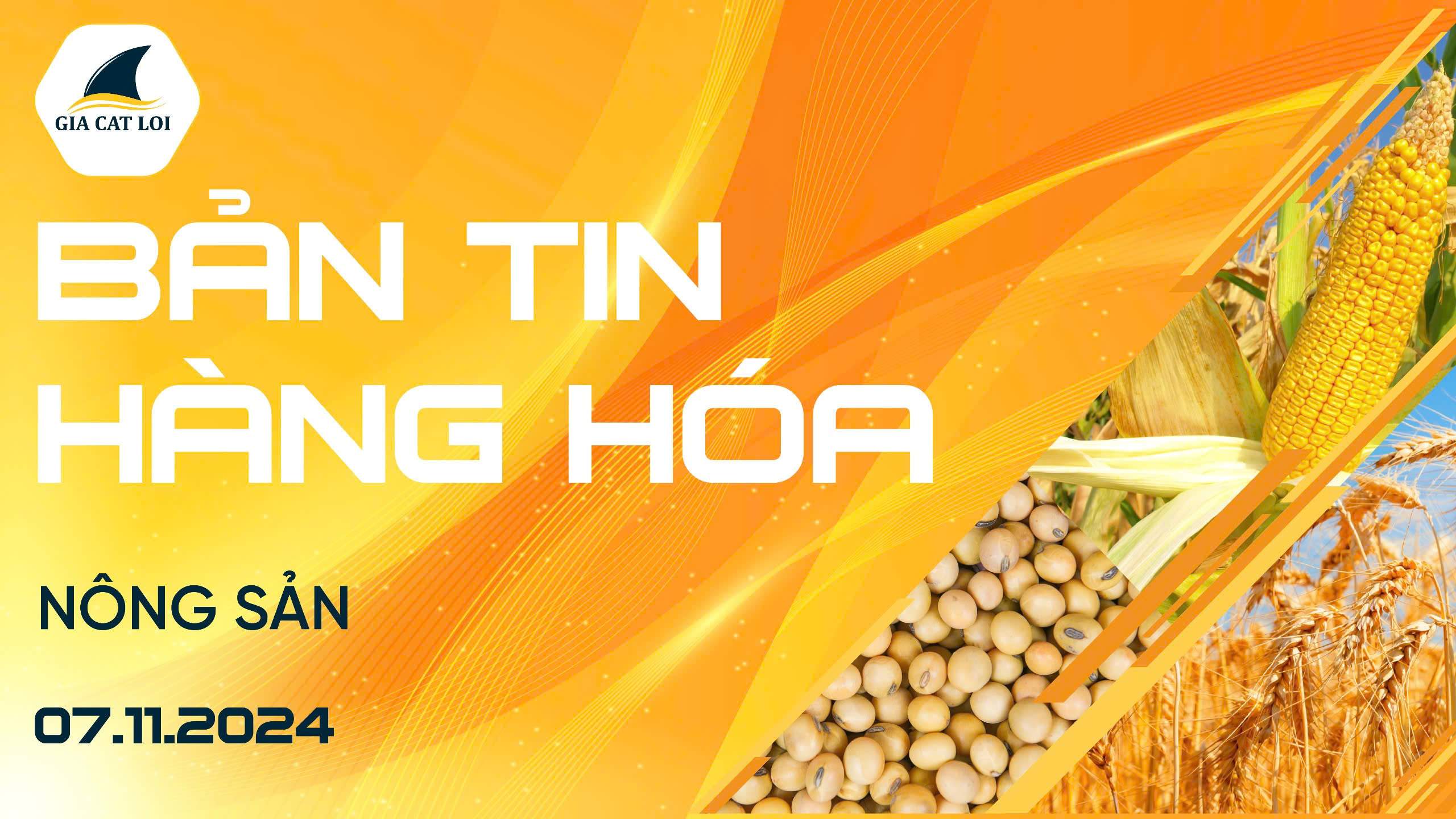 Bản Tin Nhóm Nông Sản Ngày 07/11/2024