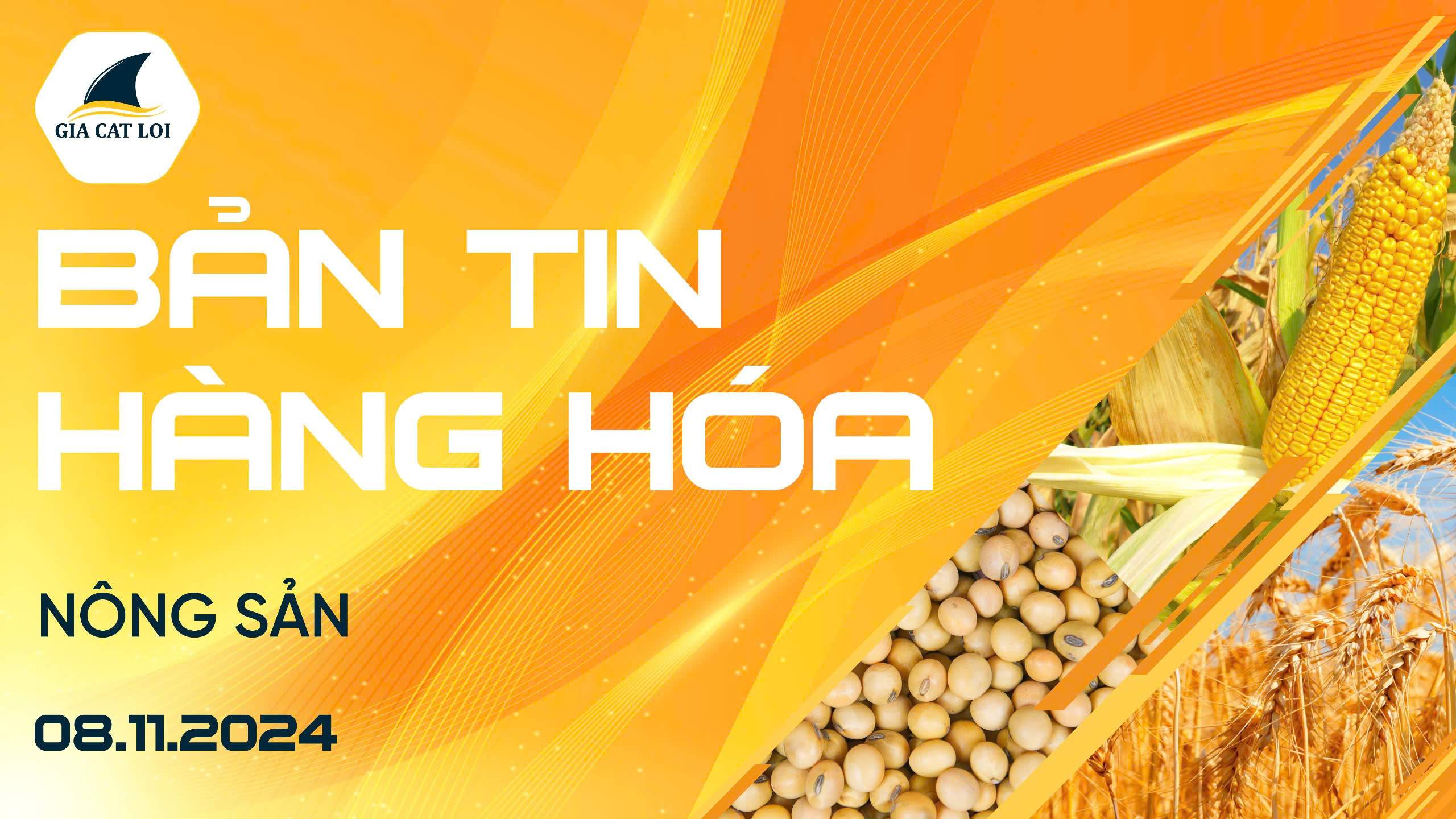 Bản Tin Nhóm Nông Sản Ngày 08/11/2024