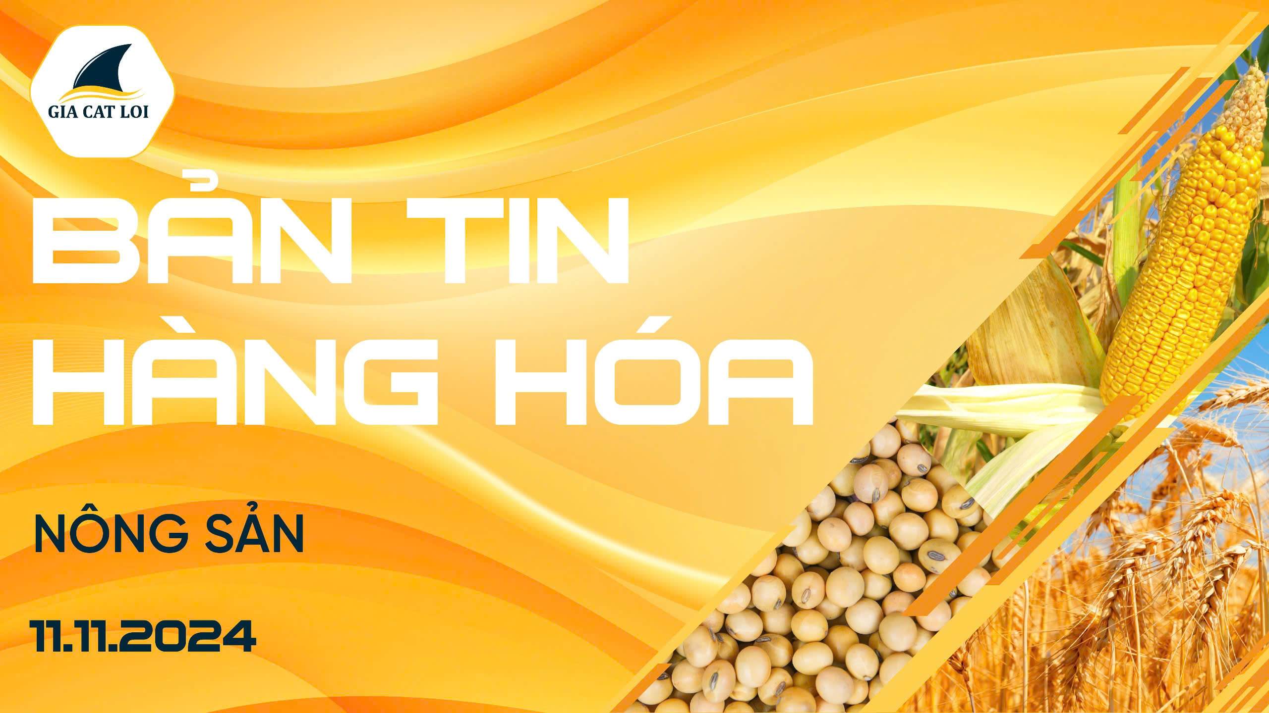Bản Tin Nhóm Nông Sản Ngày 11/11/2024