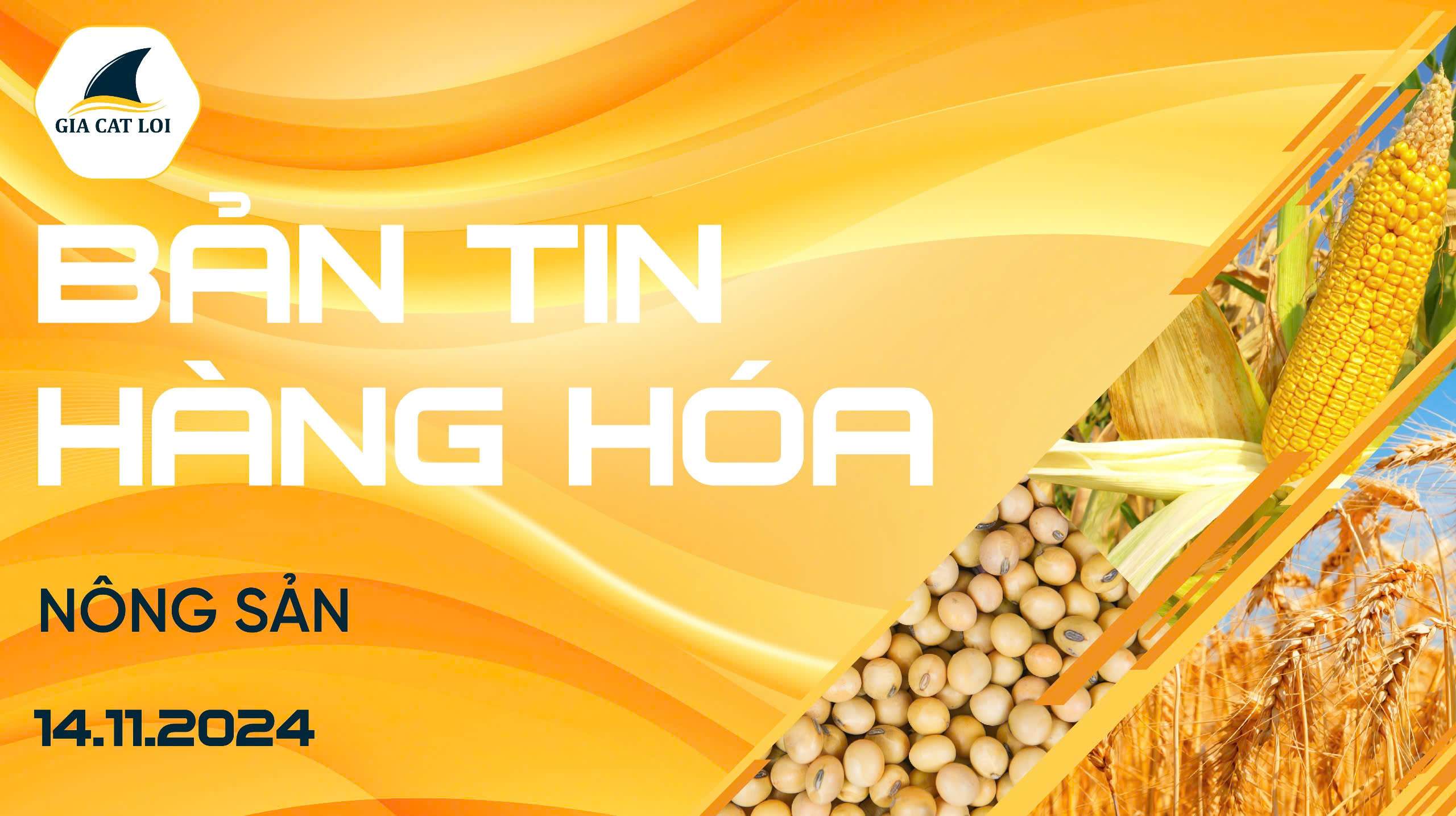 Bản Tin Nhóm Nông Sản Ngày 14/11/2024