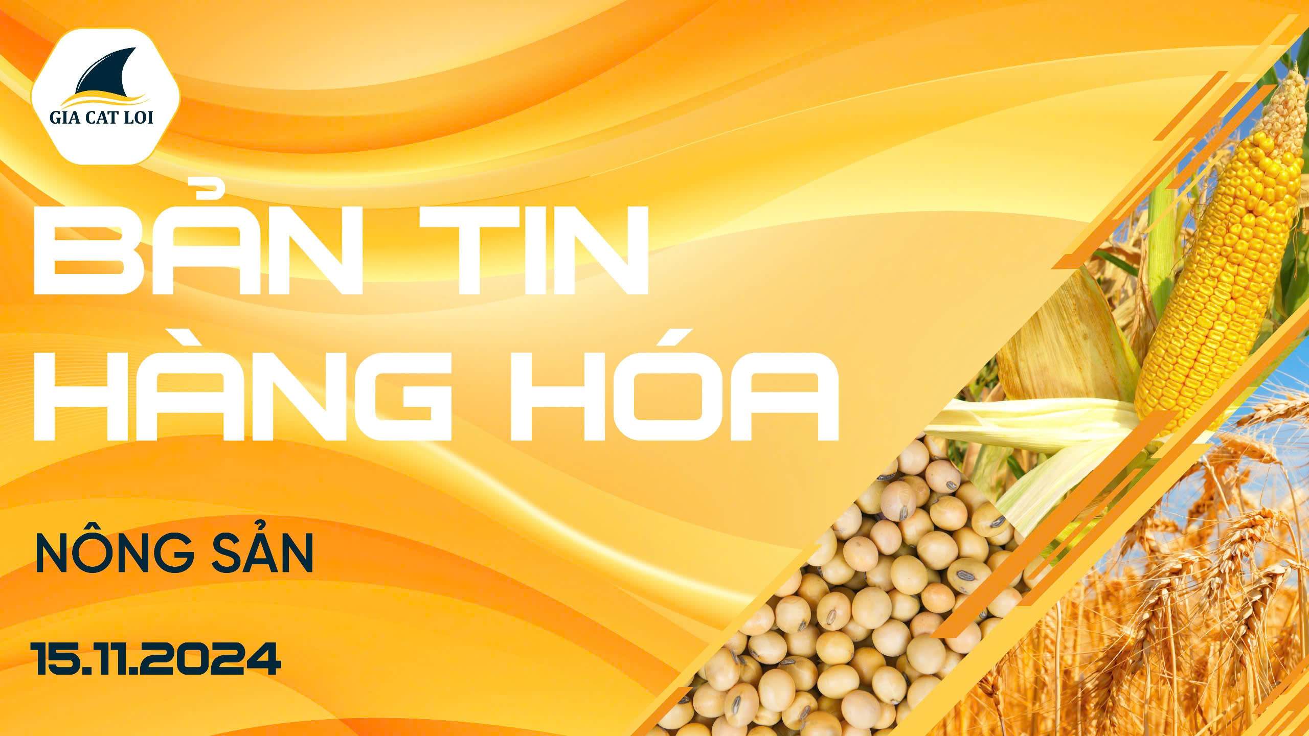 Bản Tin Nhóm Nông Sản Ngày 15/11/2024