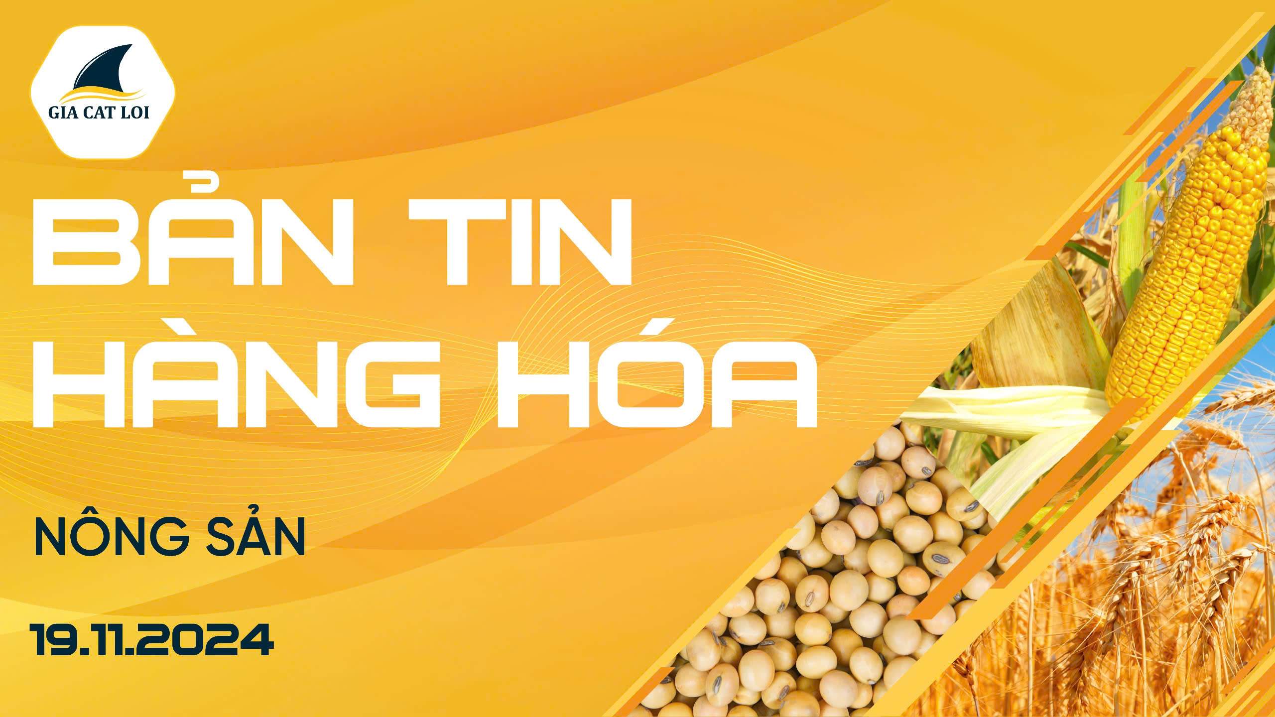 Bản Tin Nhóm Nông Sản Ngày 19/11/2024