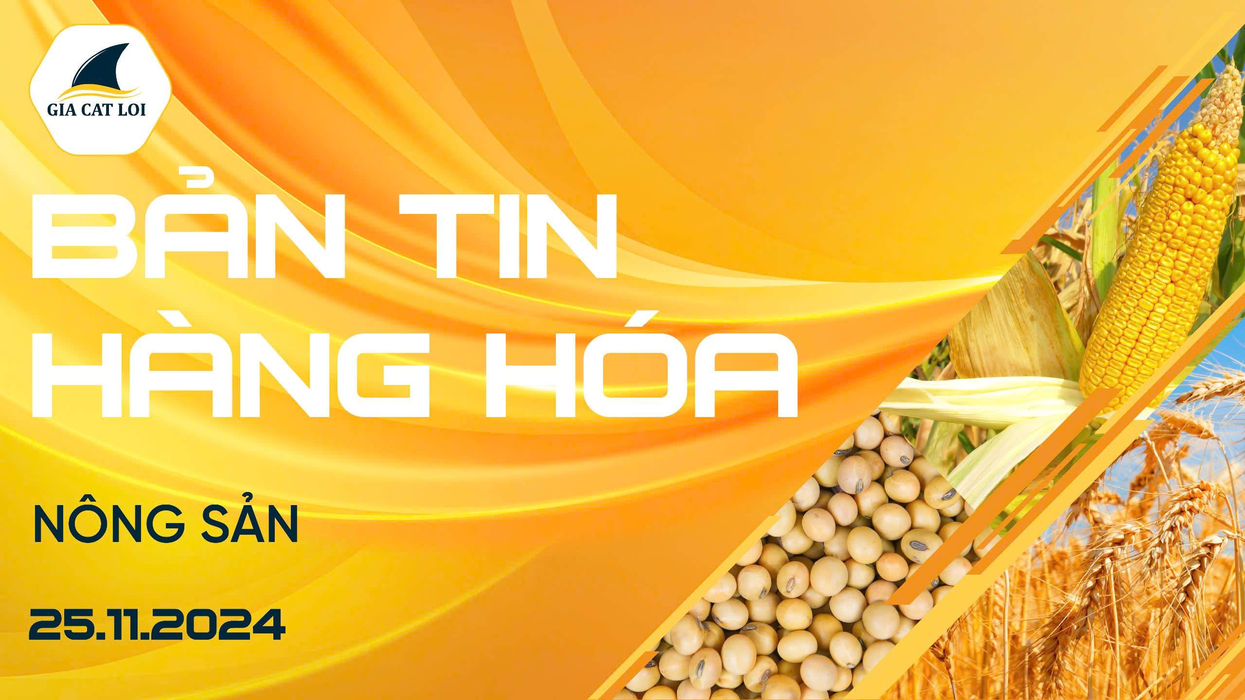 Bản Tin Nhóm Nông Sản Ngày 25/11/2024
