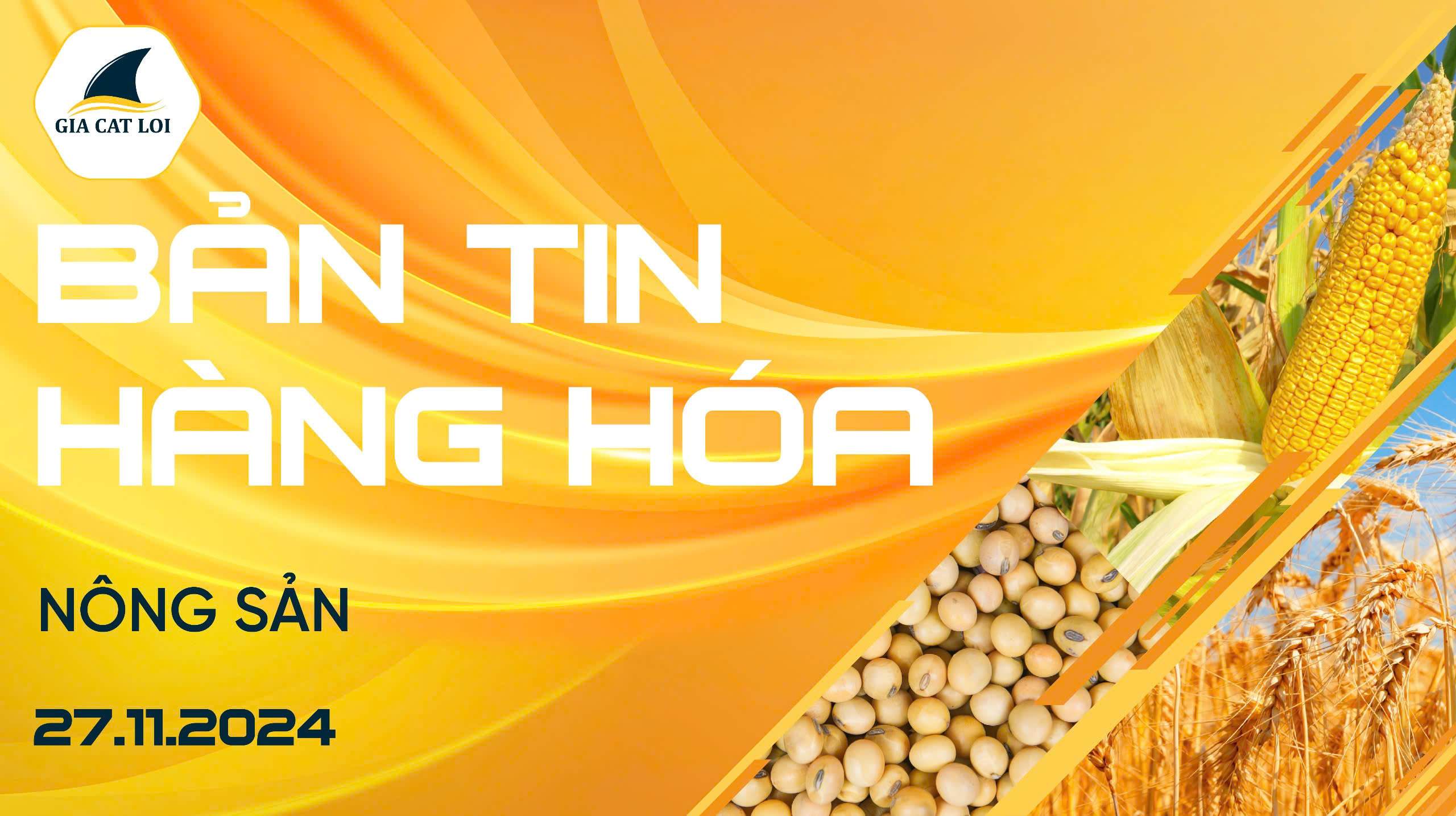 Bản Tin Nhóm Nông Sản Ngày 27/11/2024