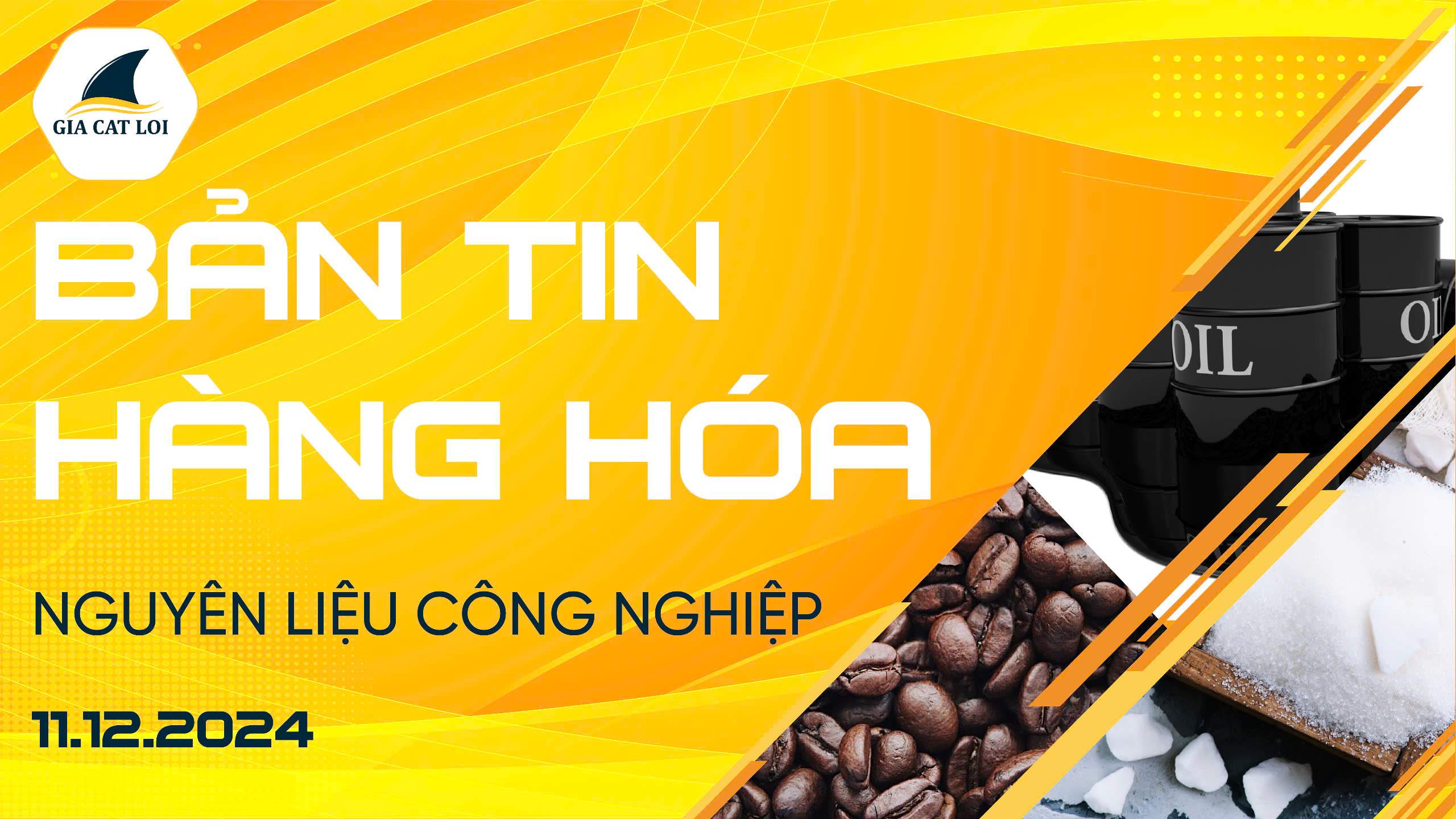 Bản Tin Nhóm Nguyên Liệu Công Nghiệp Ngày 11/12/2024