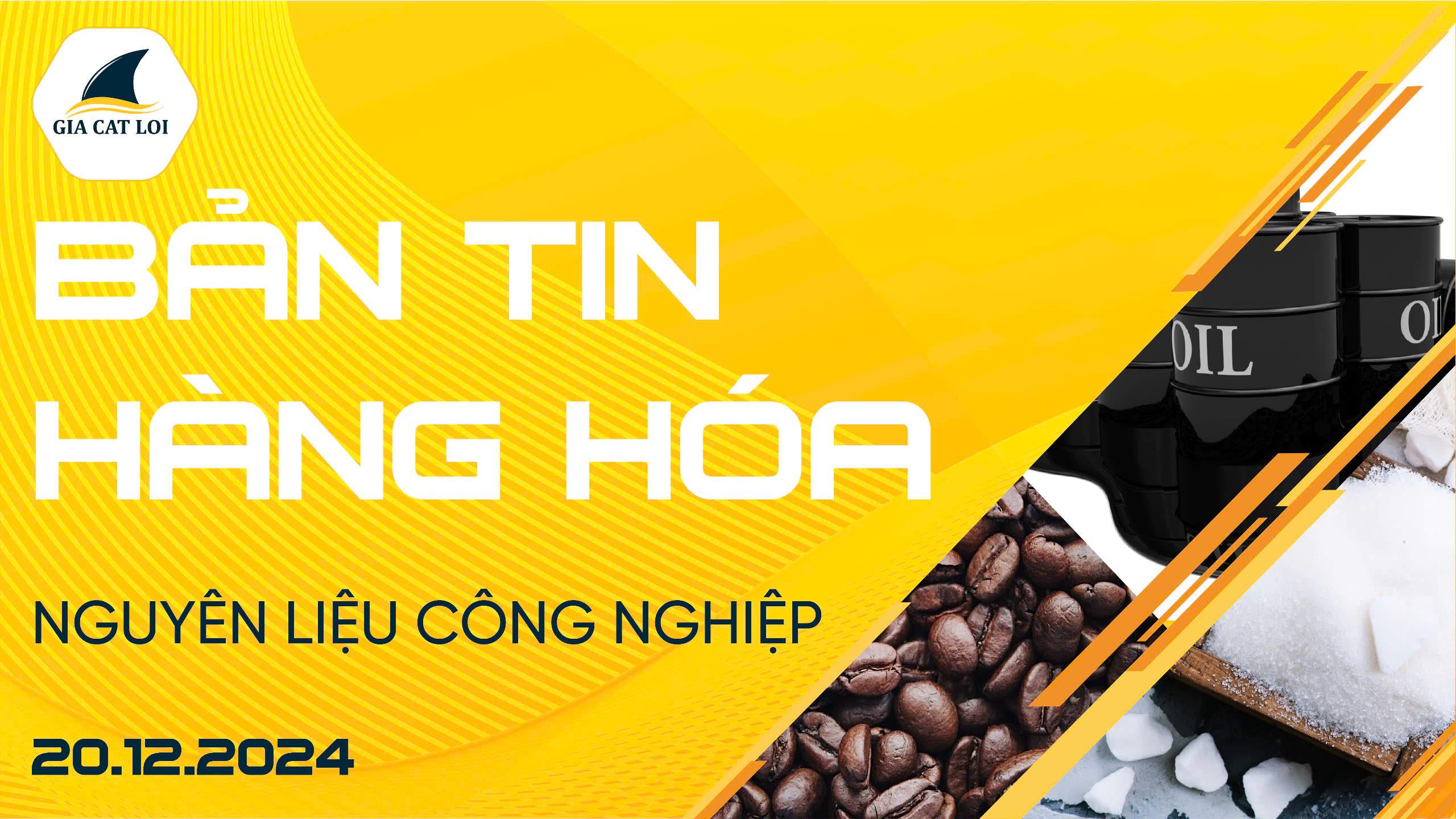Bản Tin Nhóm Nguyên Liệu Công Nghiệp Ngày 20/12/2024