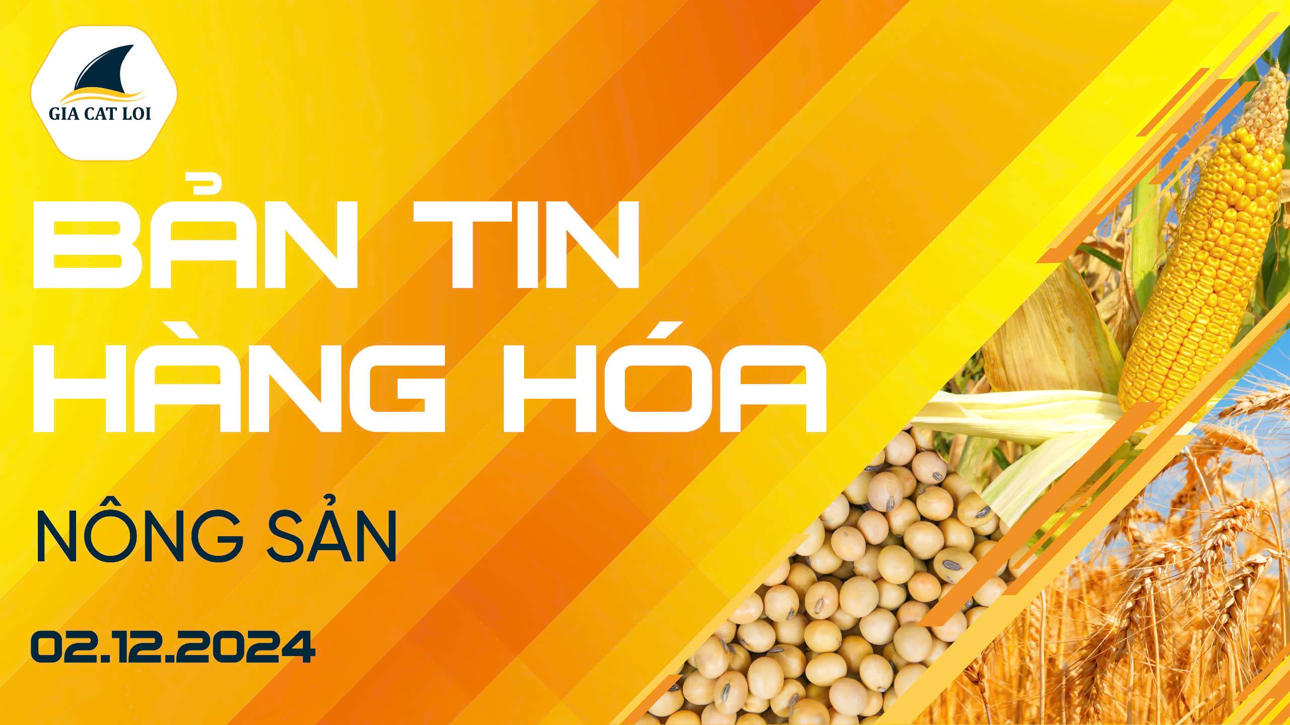 Bản Tin Nhóm Nông Sản Ngày 02/12/2024