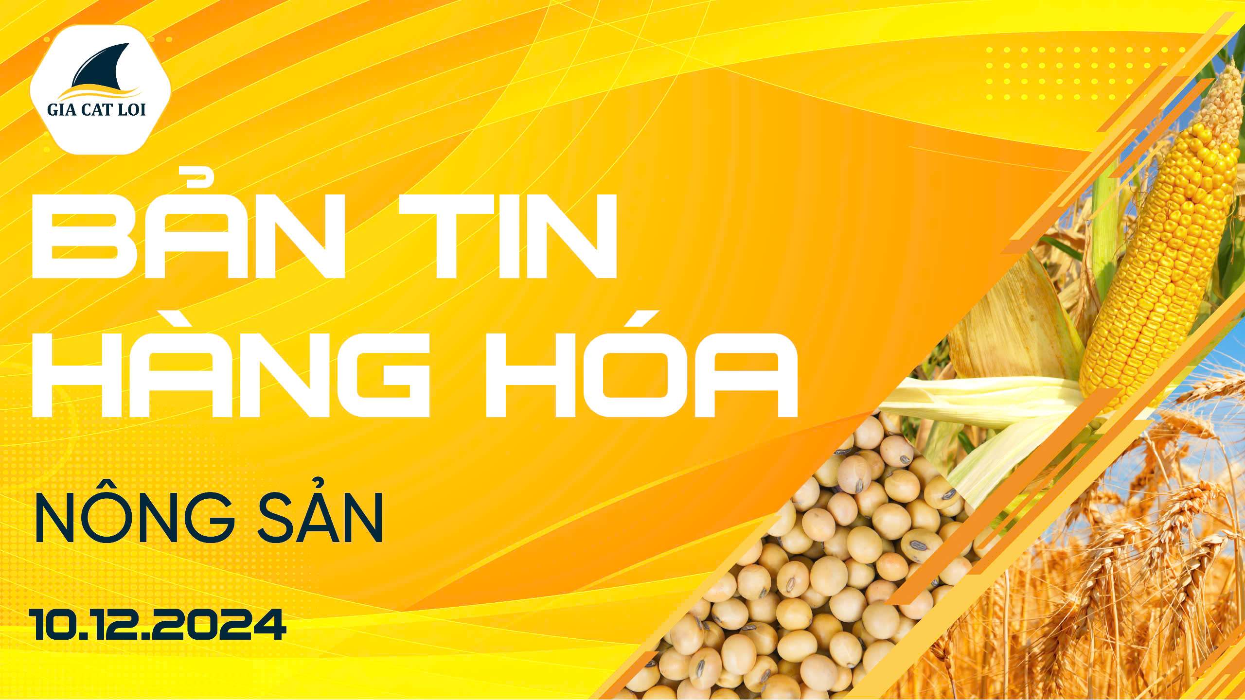 Bản Tin Nhóm Nông Sản Ngày 10/12/2024