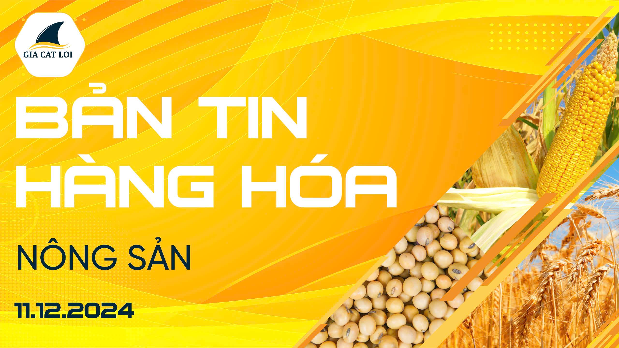 Bản Tin Nhóm Nông Sản Ngày 11/12/2024