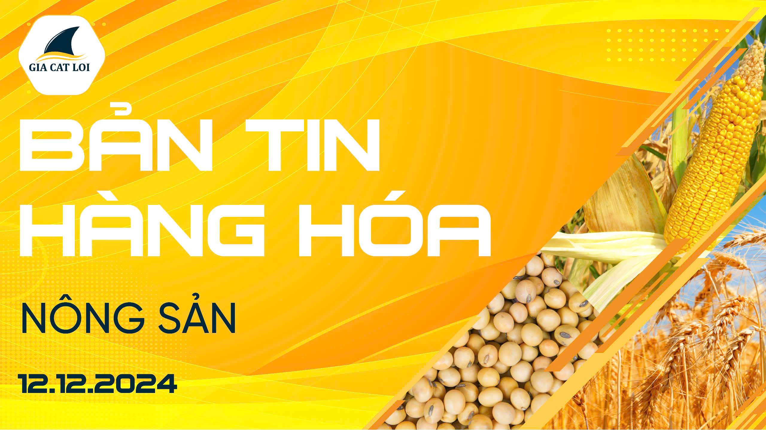 Bản Tin Nhóm Nông Sản Ngày 12/12/2024