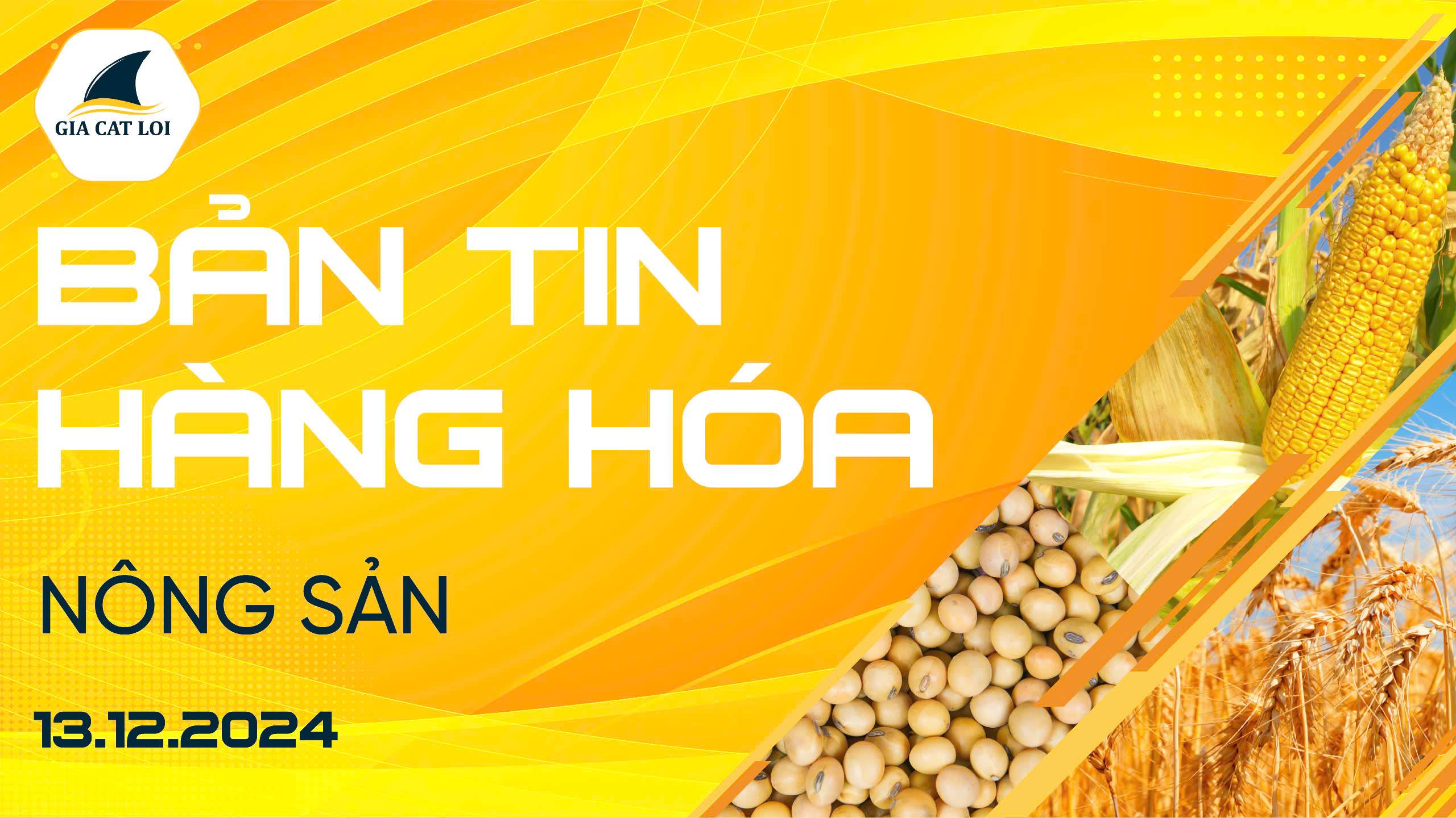 Bản Tin Nhóm Nông Sản Ngày 13/12/2024