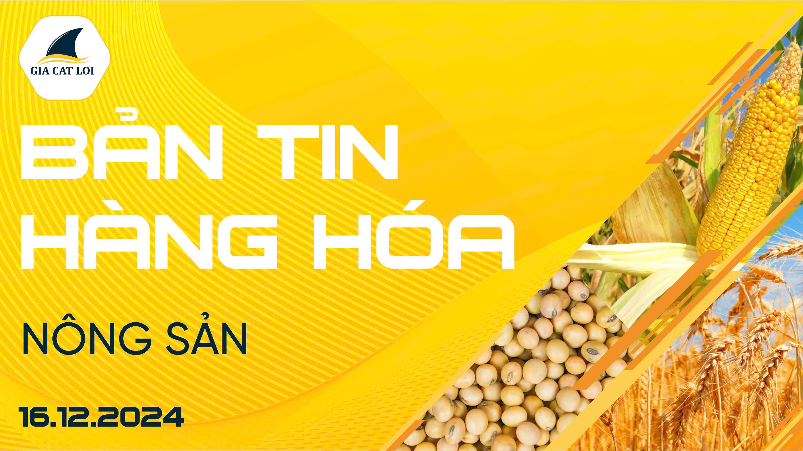 Bản Tin Nhóm Nông Sản Ngày 16/12/2024