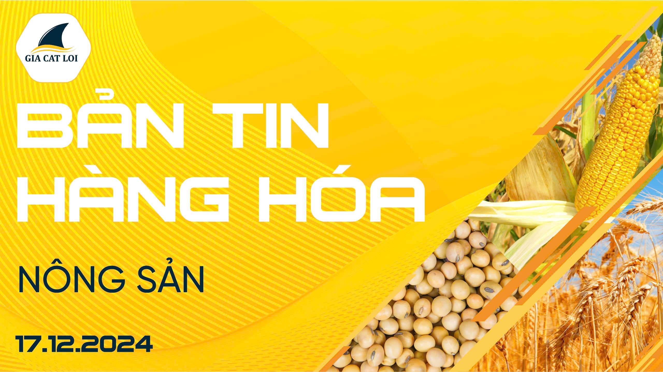 Bản Tin Nhóm Nông Sản Ngày 17/12/2024