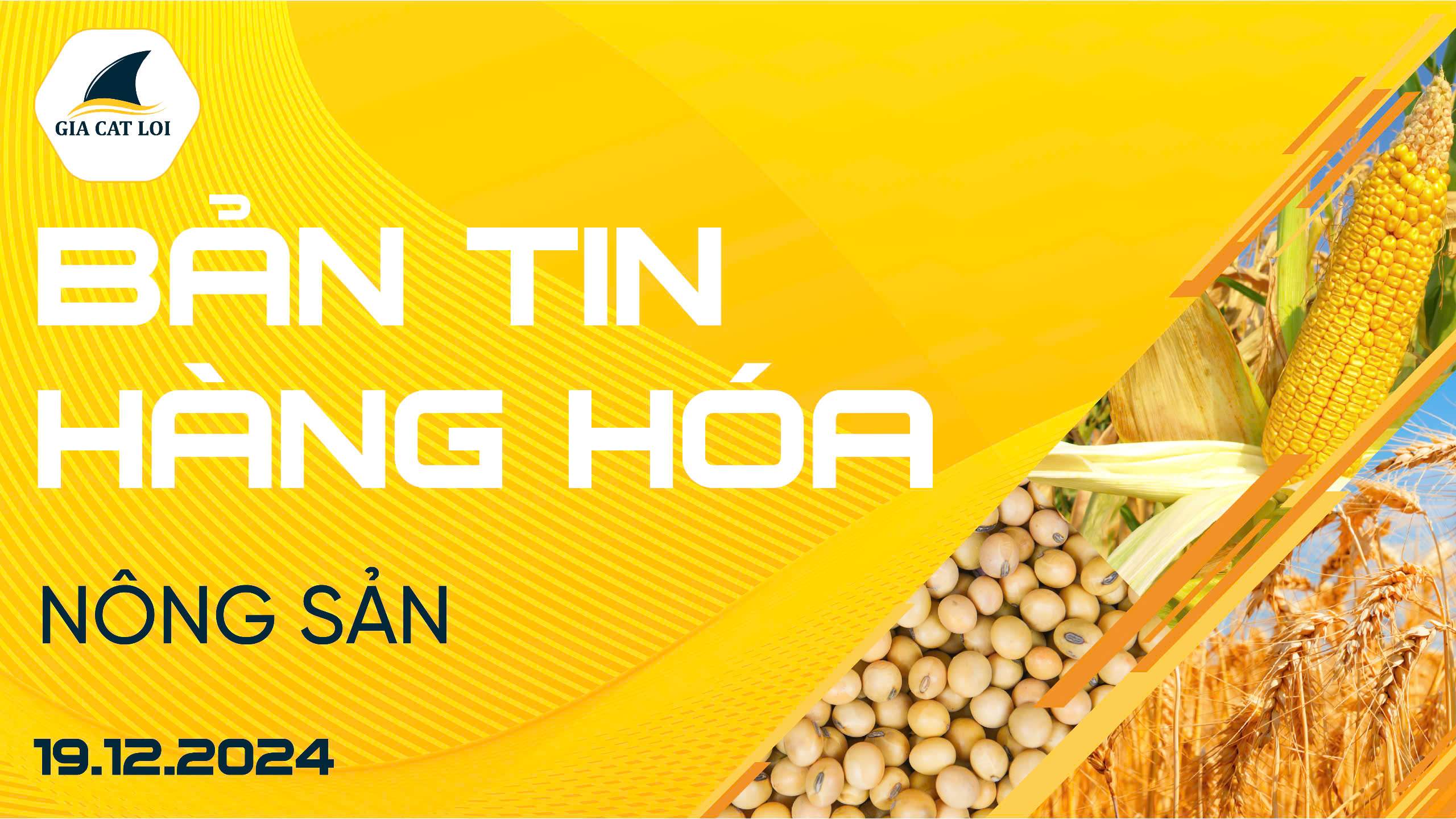 Bản Tin Nhóm Nông Sản Ngày 19/12/2024