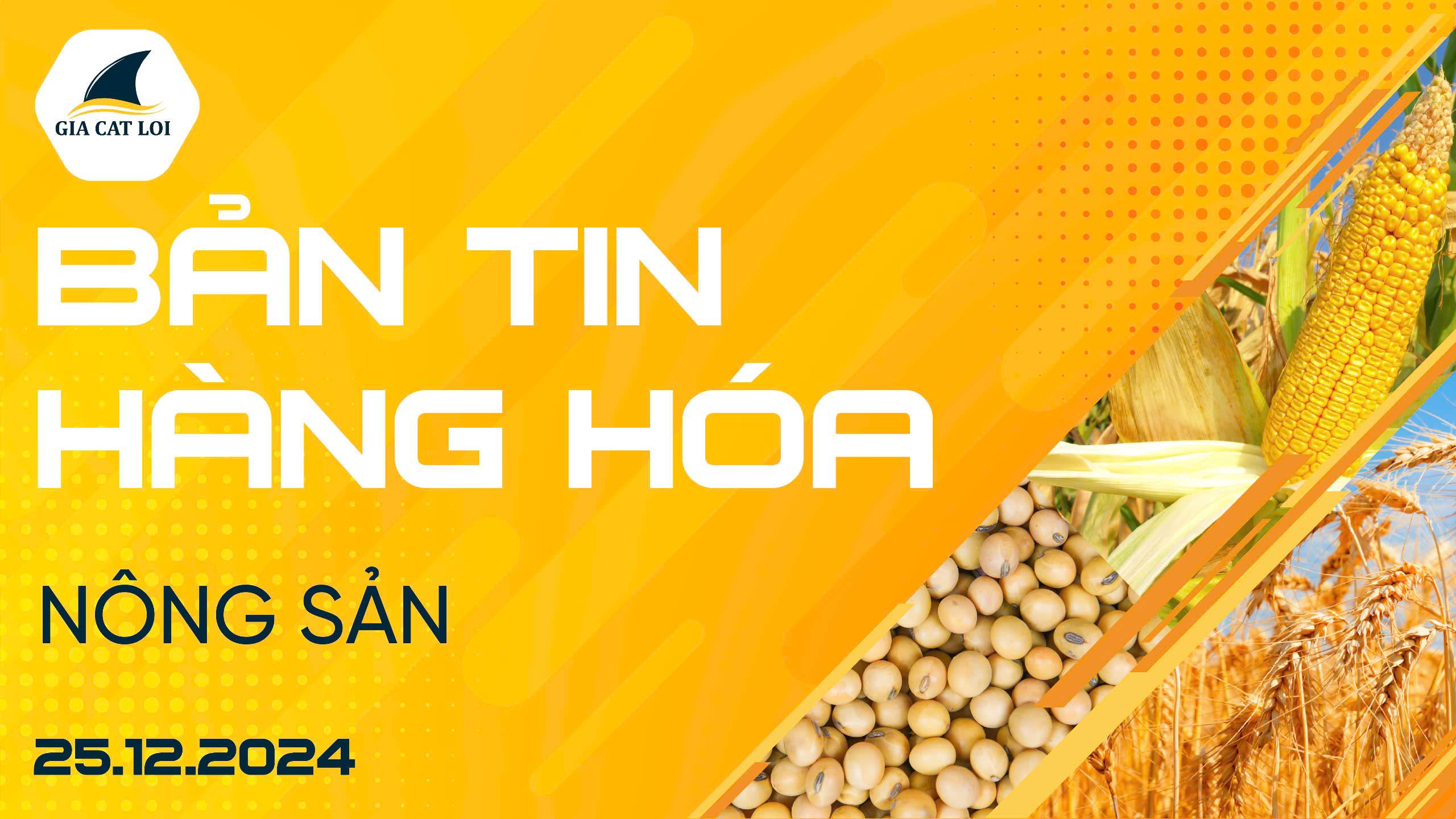 Bản Tin Nhóm Nông Sản Ngày 25/12/2024