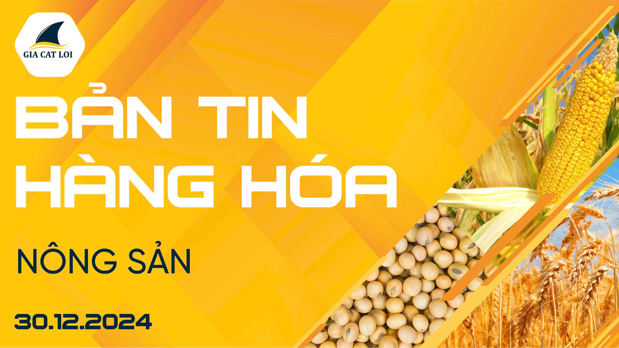 Bản Tin Nhóm Nông Sản Ngày 30/12/2024