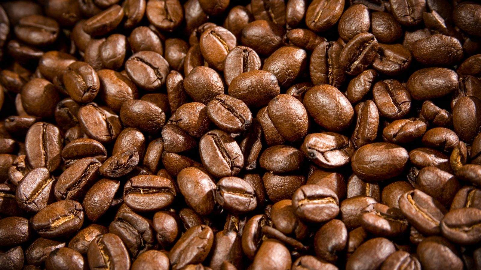 ca phe robusta duoc san xuat nhu the nao