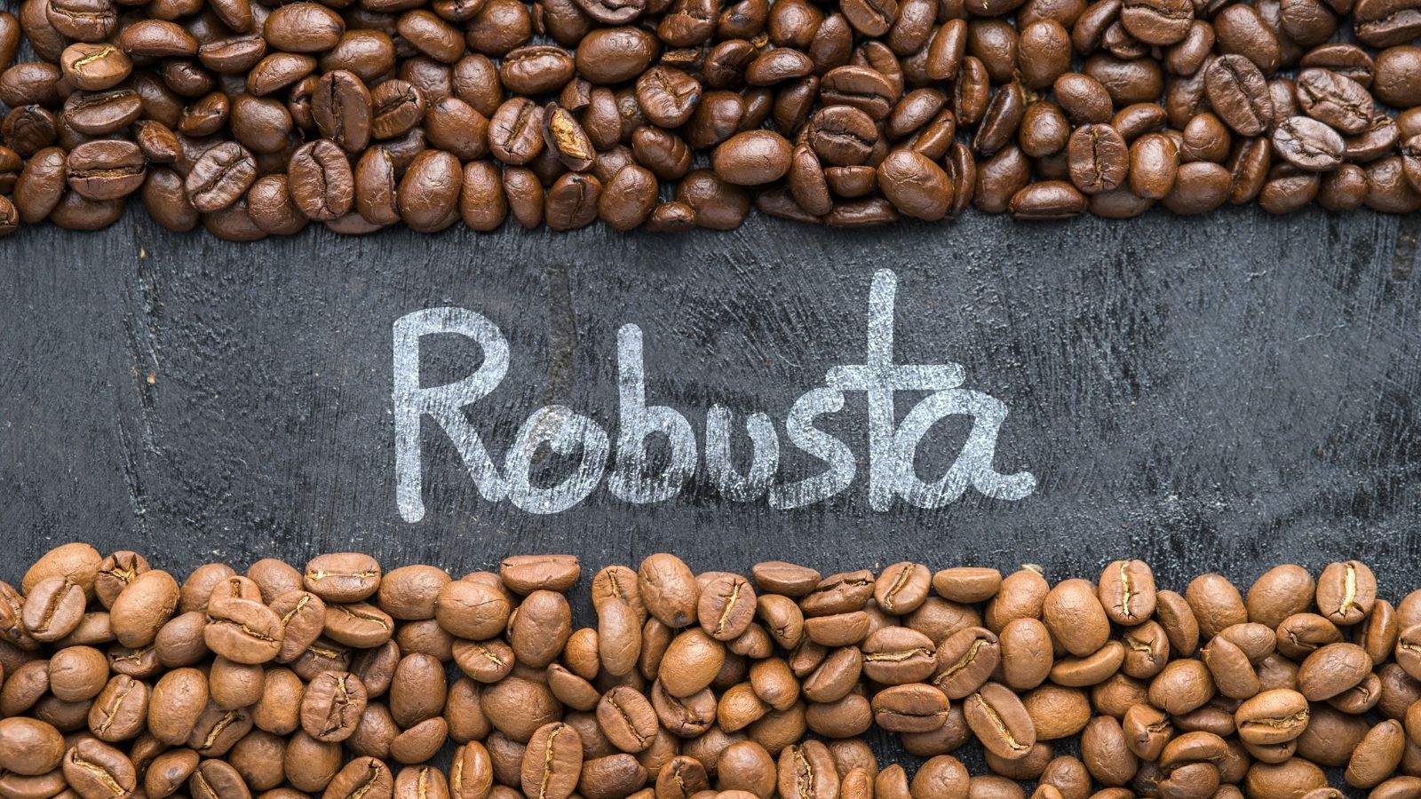 tai sao ca phe robusta co gia tri