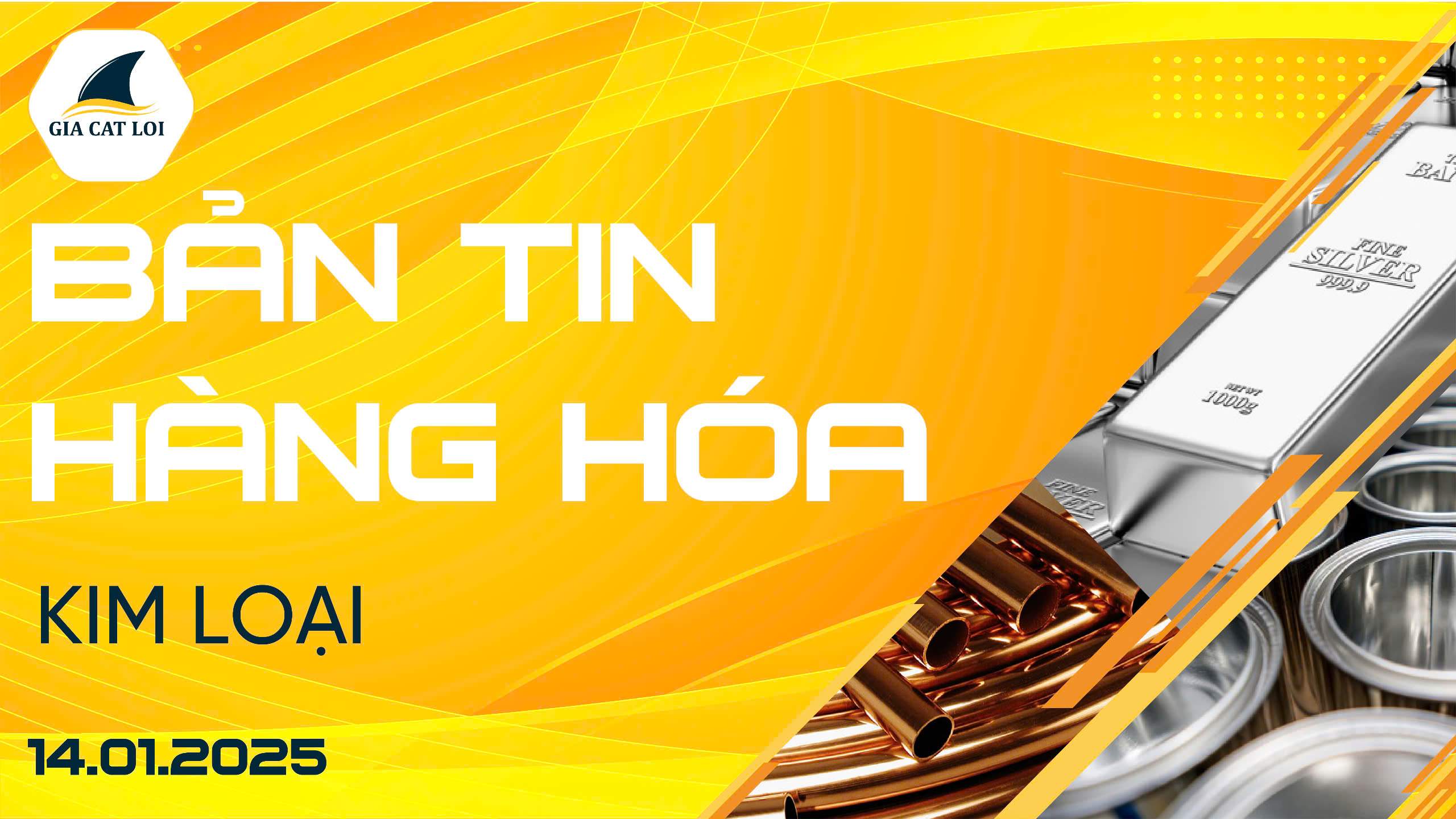 Bản Tin Nhóm Kim Loại Ngày 14/01/2025