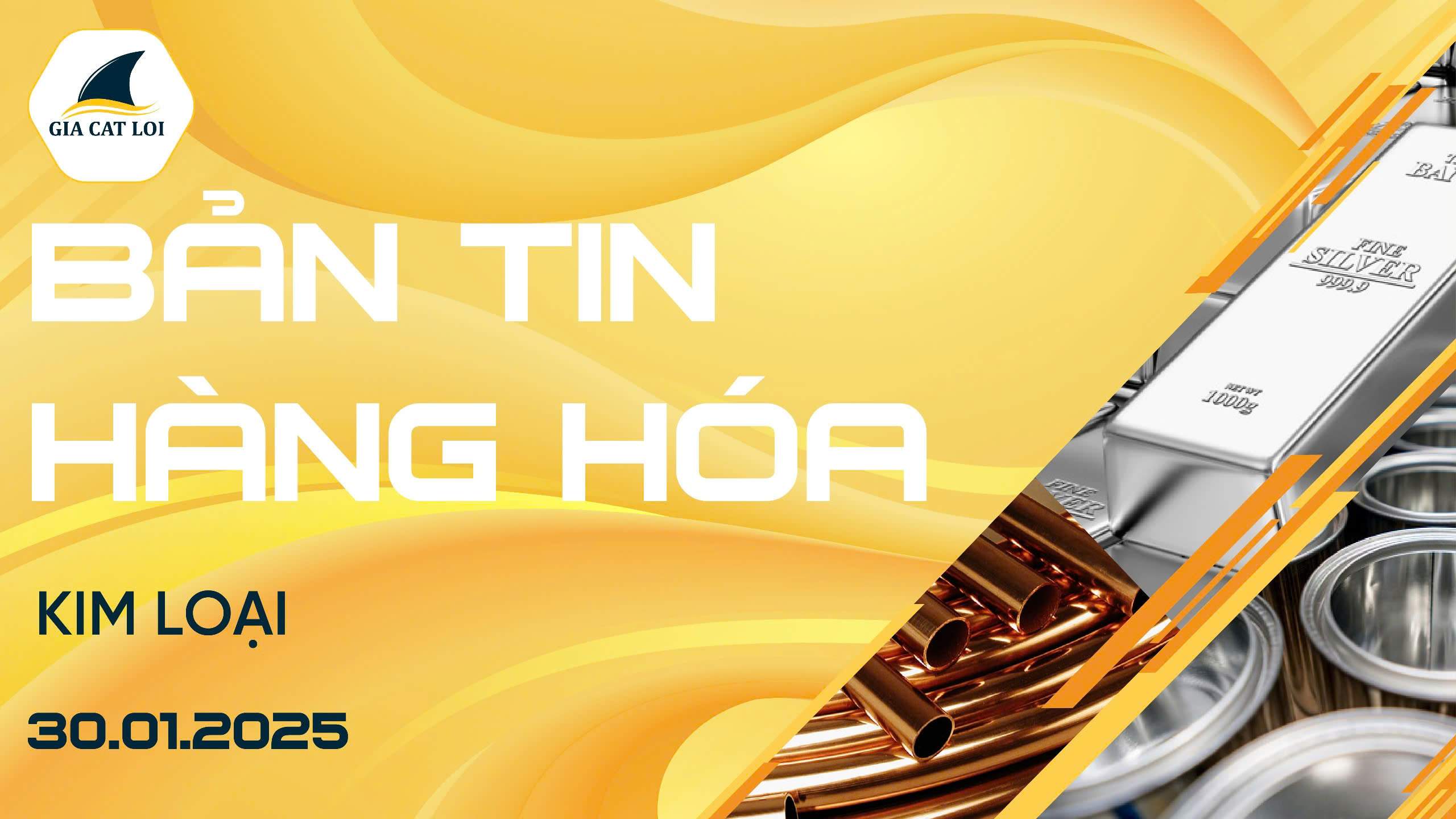 Bản Tin Nhóm Kim Loại Ngày 30/01/2025