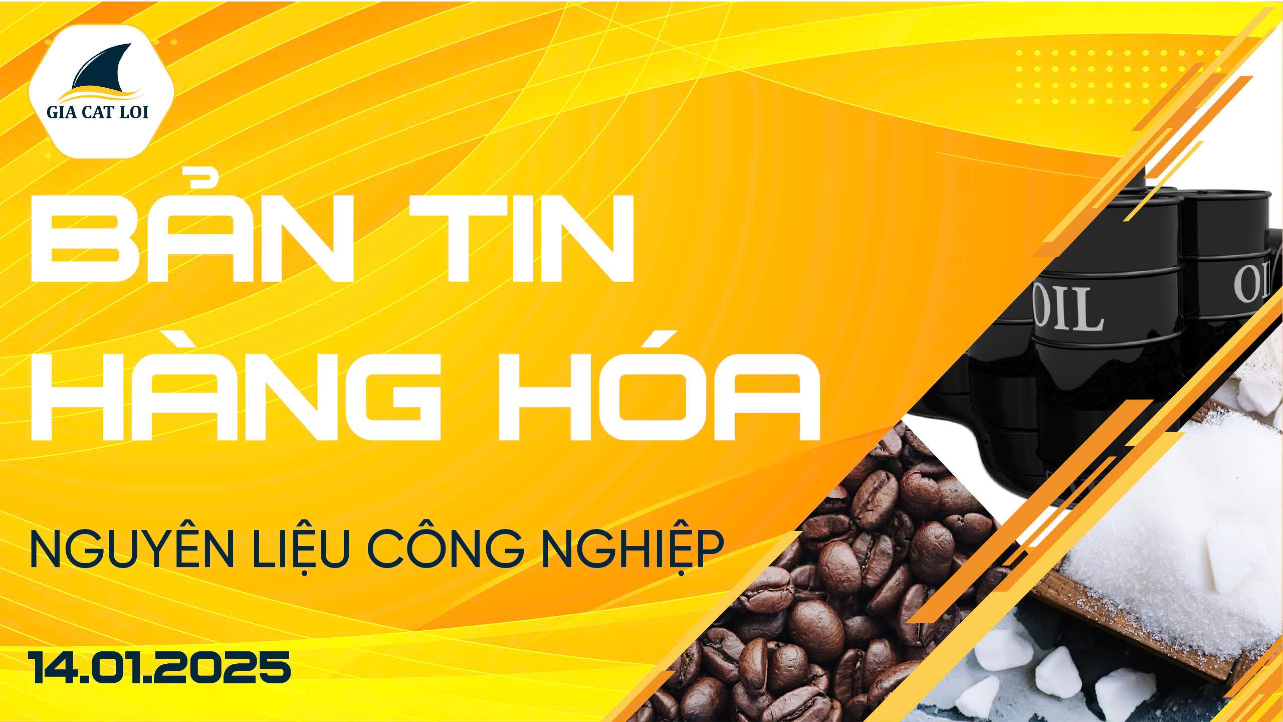 Bản Tin Nhóm Nguyên Liệu Công Nghiệp Ngày 14/01/2025