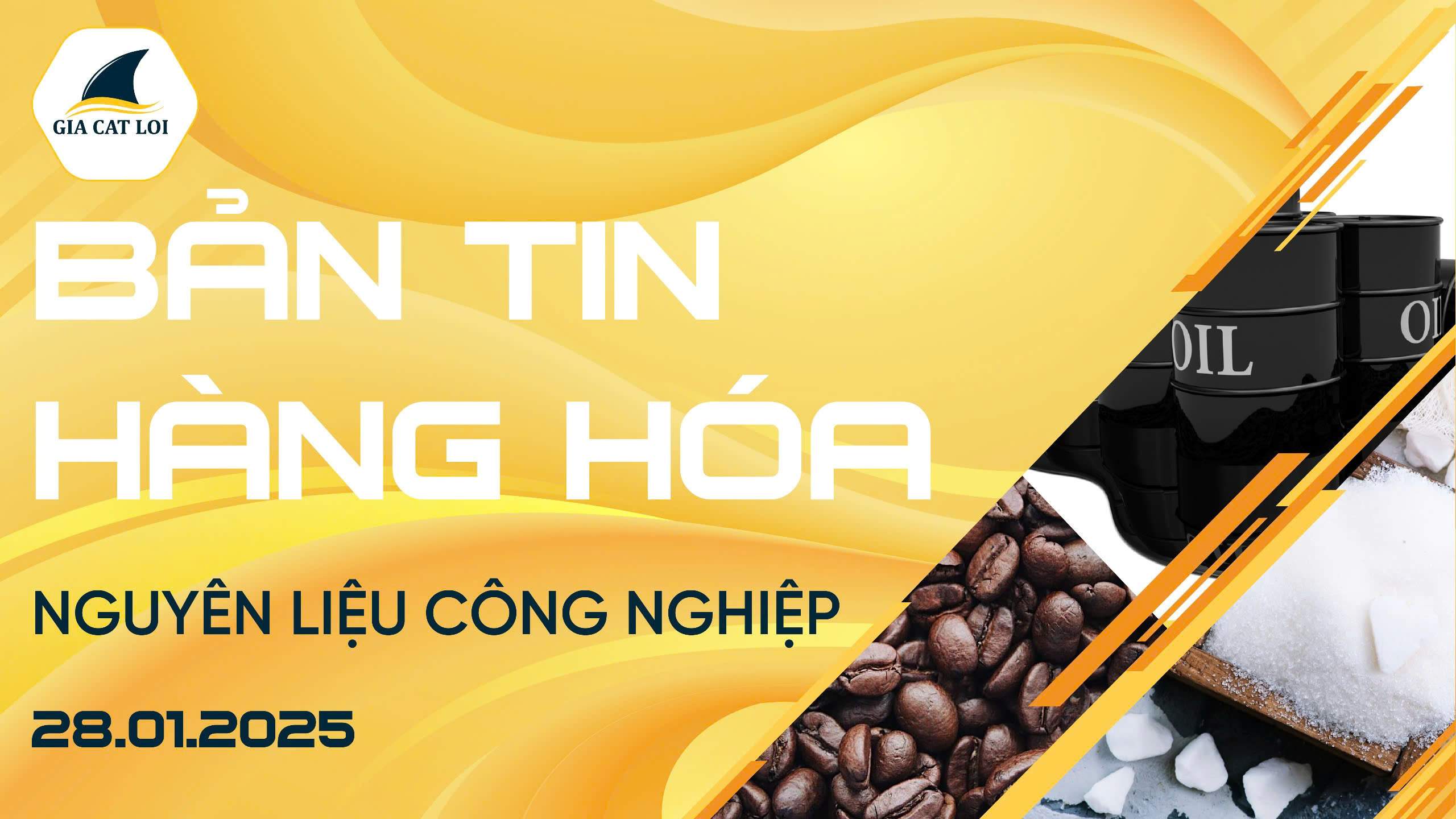 Bản Tin Nhóm Nguyên Liệu Công Nghiệp Ngày 28/01/2025