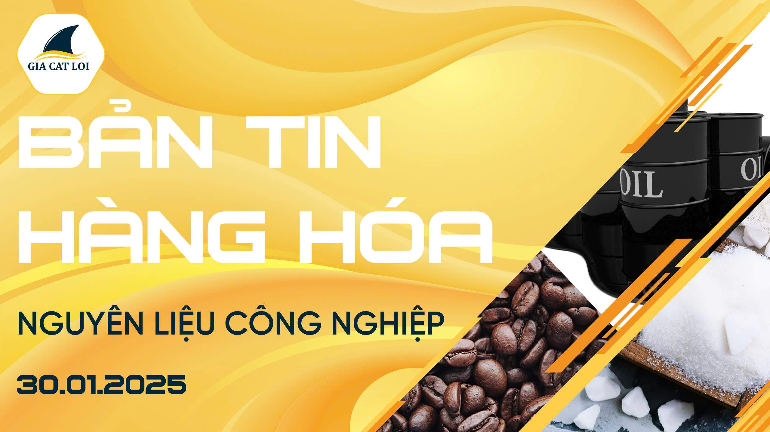 Bản Tin Nhóm Nguyên Liệu Công Nghiệp Ngày 30/01/2025