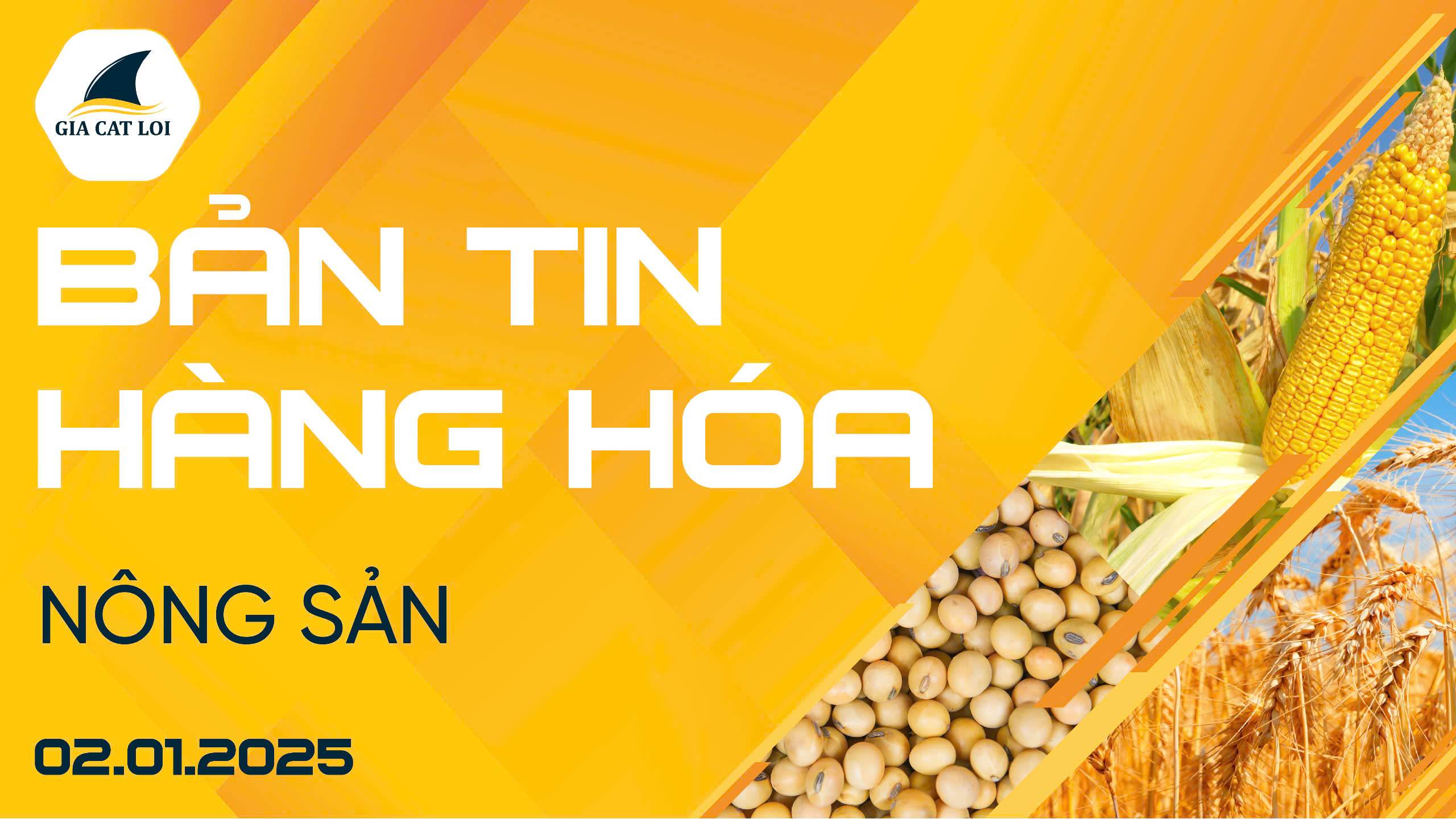 Bản Tin Nhóm Nông Sản Ngày 02/01/2025